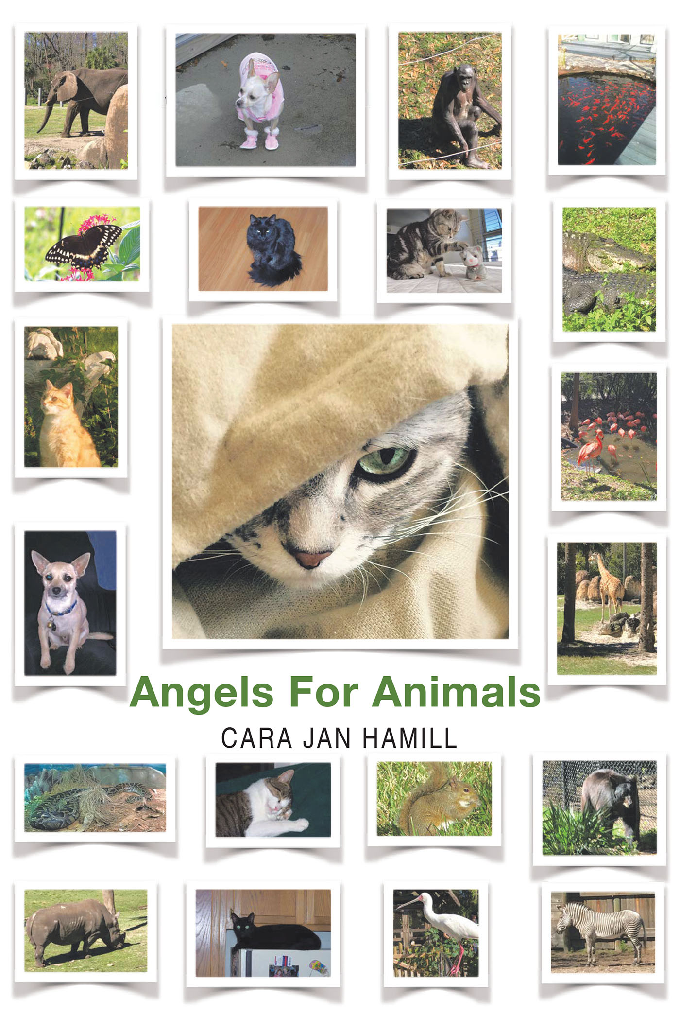 Angels for Animals Cover Image
