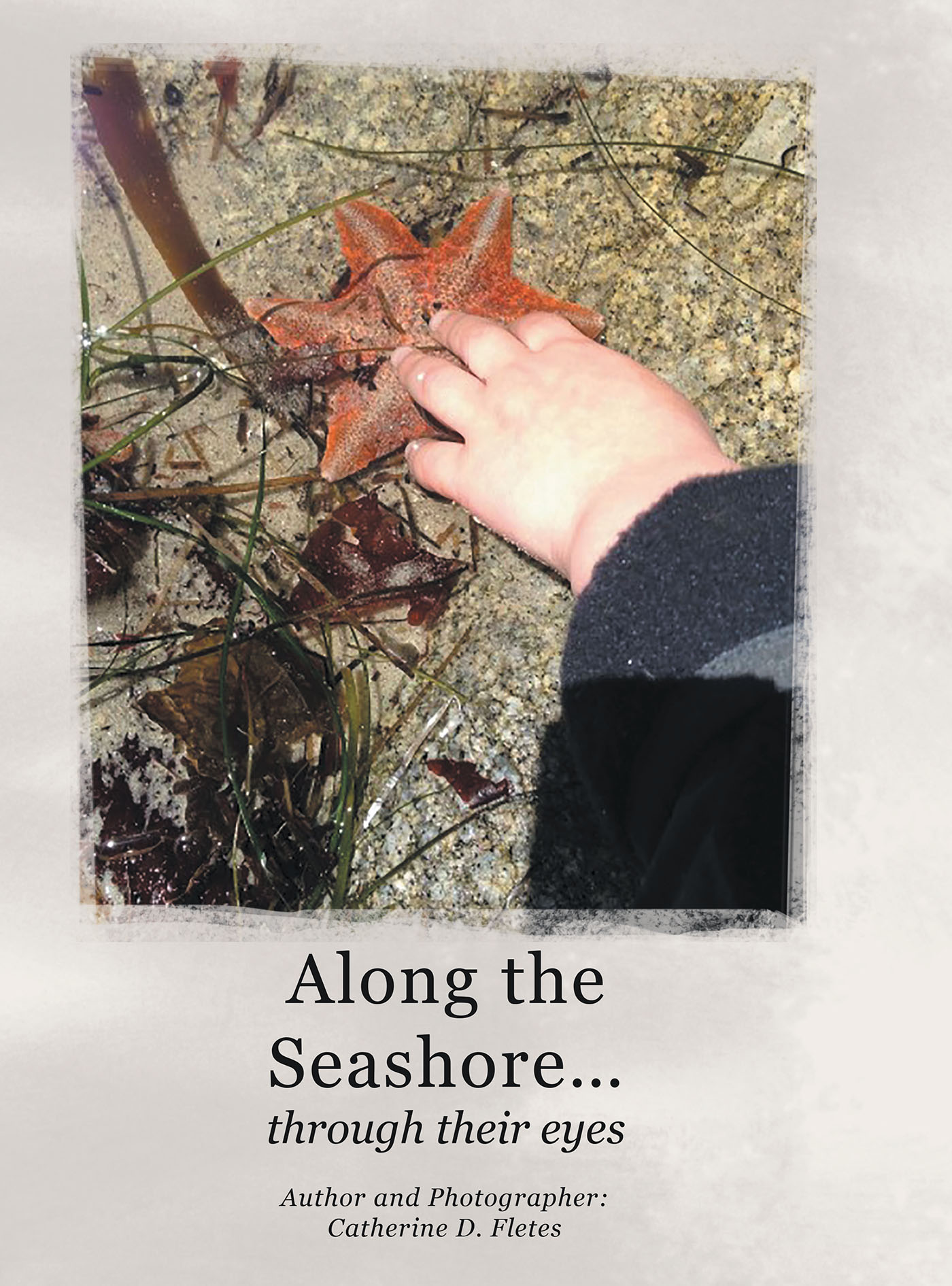 Along the Seashore Cover Image