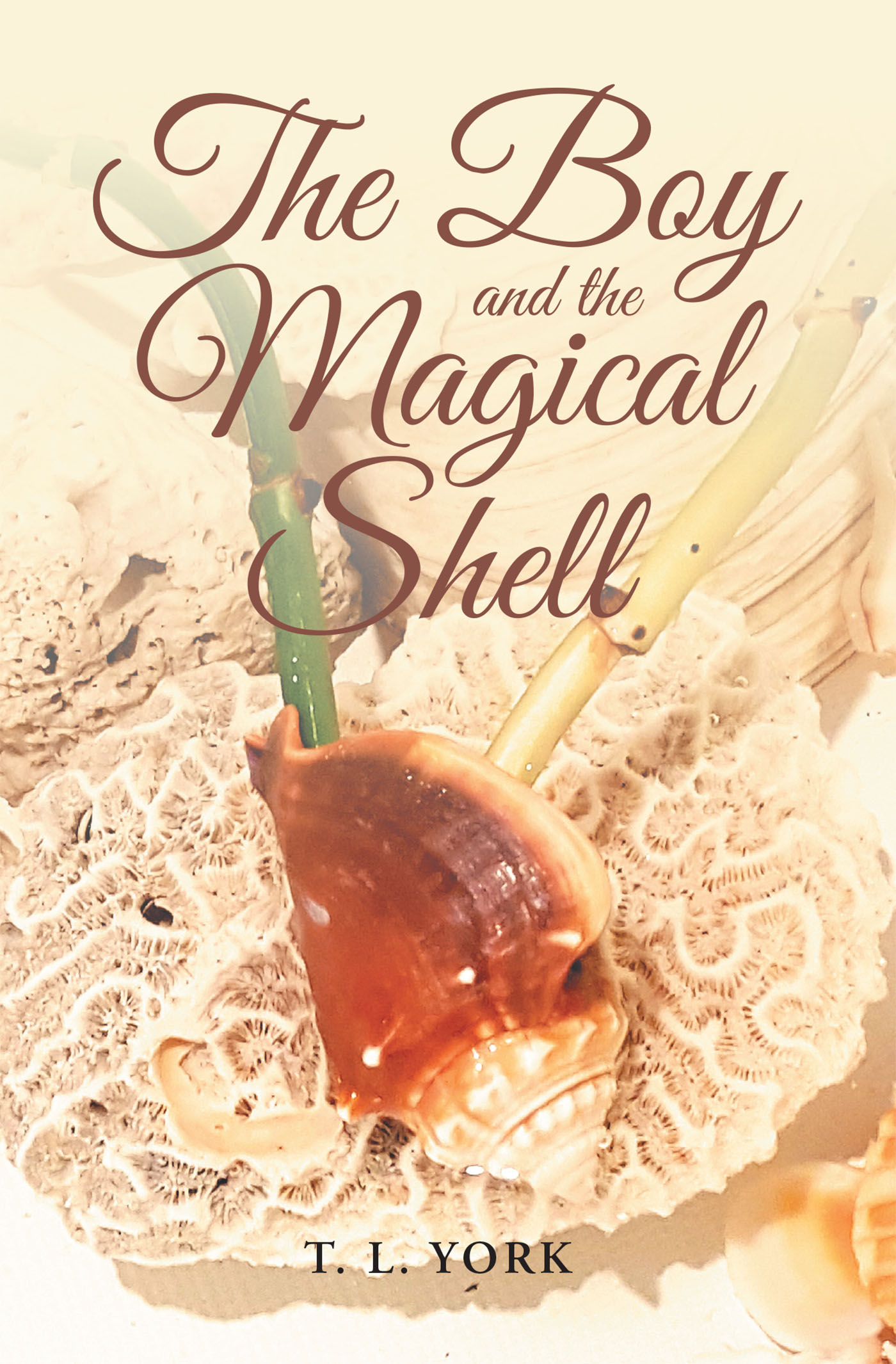 The Boy and the Magical Shell Cover Image