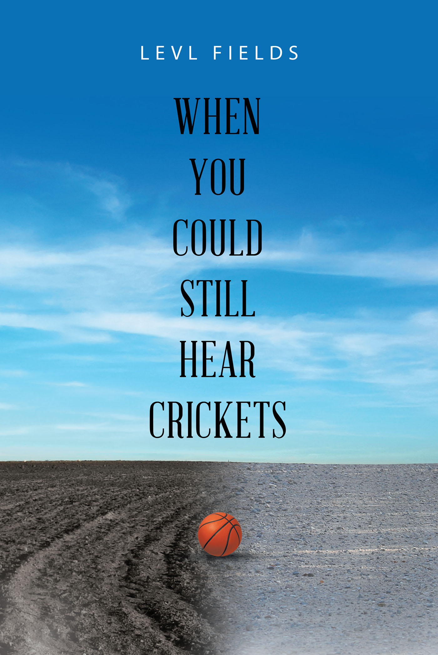 When You Could Still Hear Crickets Cover Image