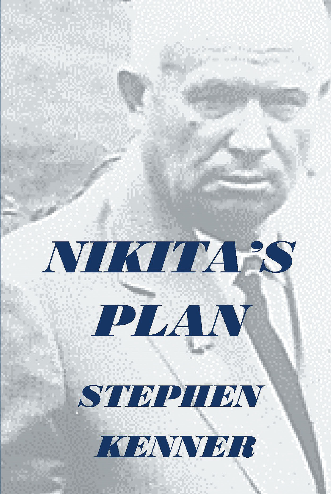 Nikita's Plan Cover Image
