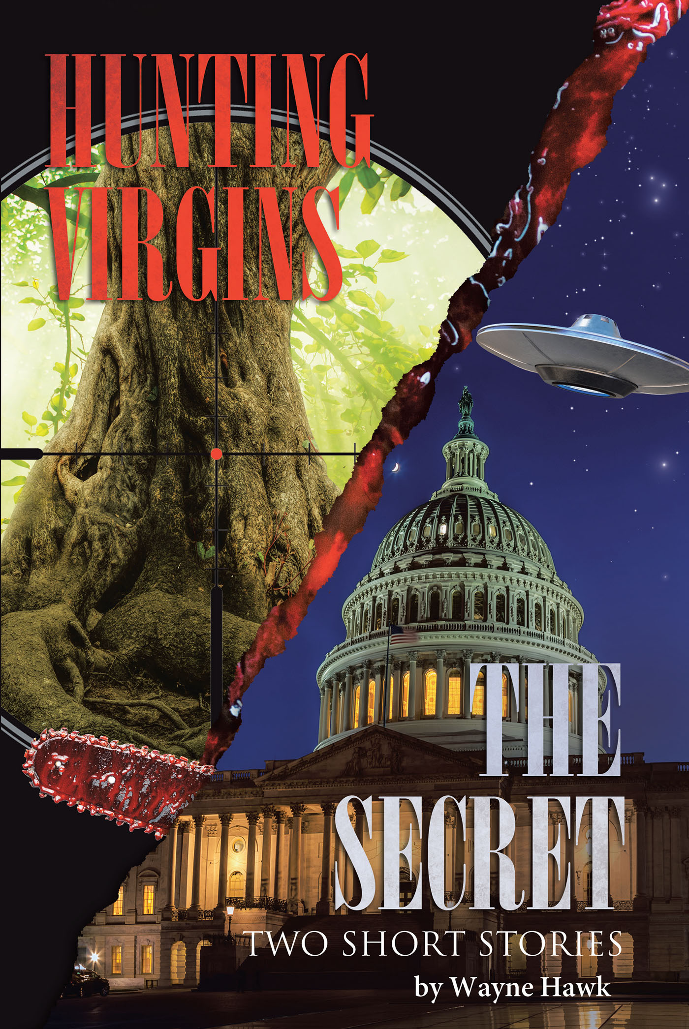 The Secret & Hunting Virgins Cover Image