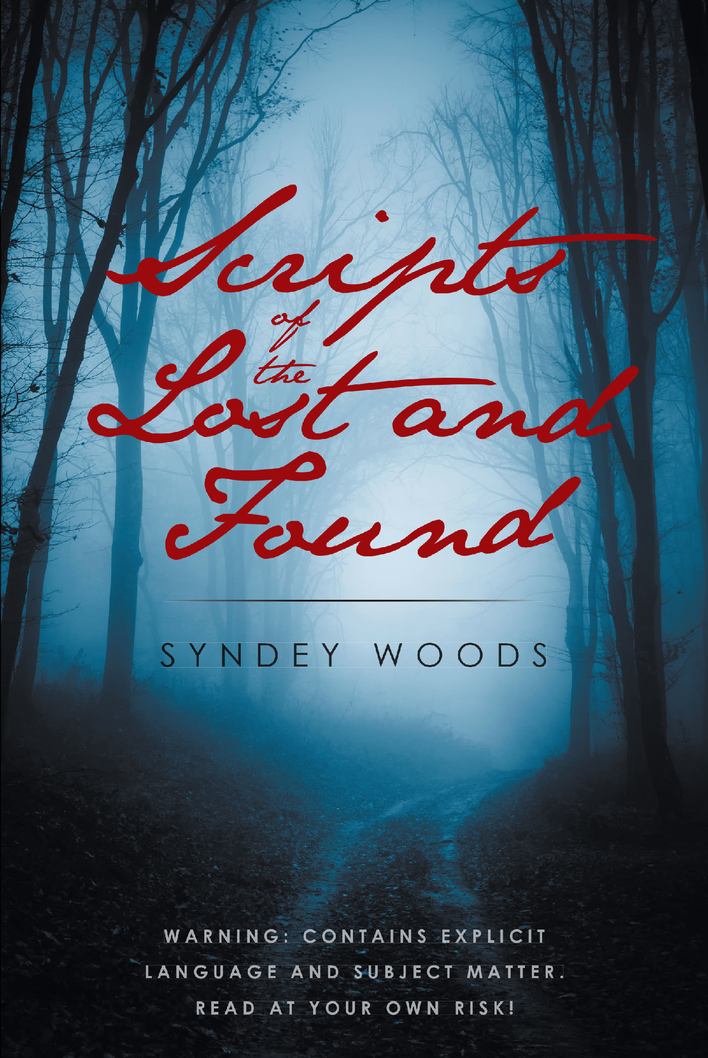 Scripts of the Lost and Found Cover Image