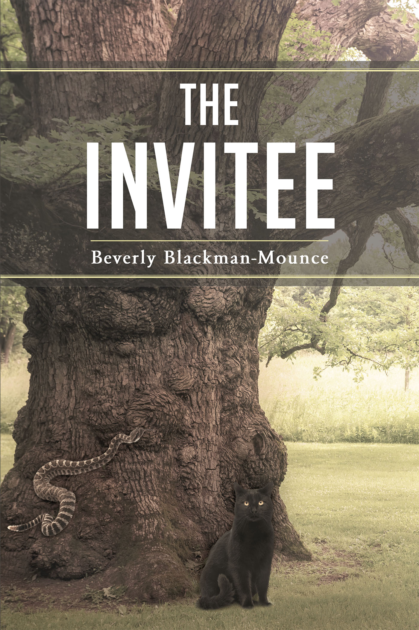 The Invitee Cover Image