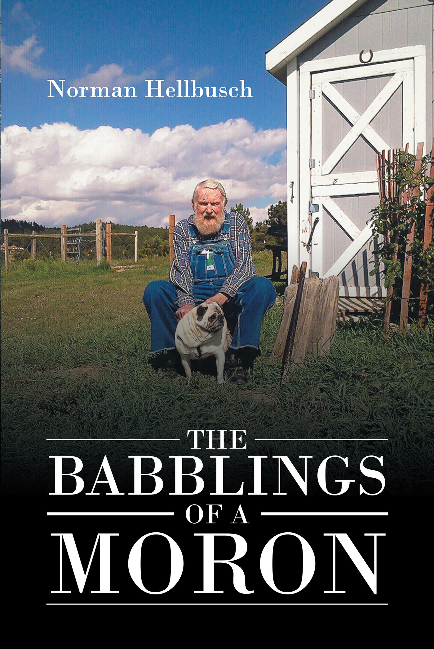 The Babblings of a Moron Cover Image