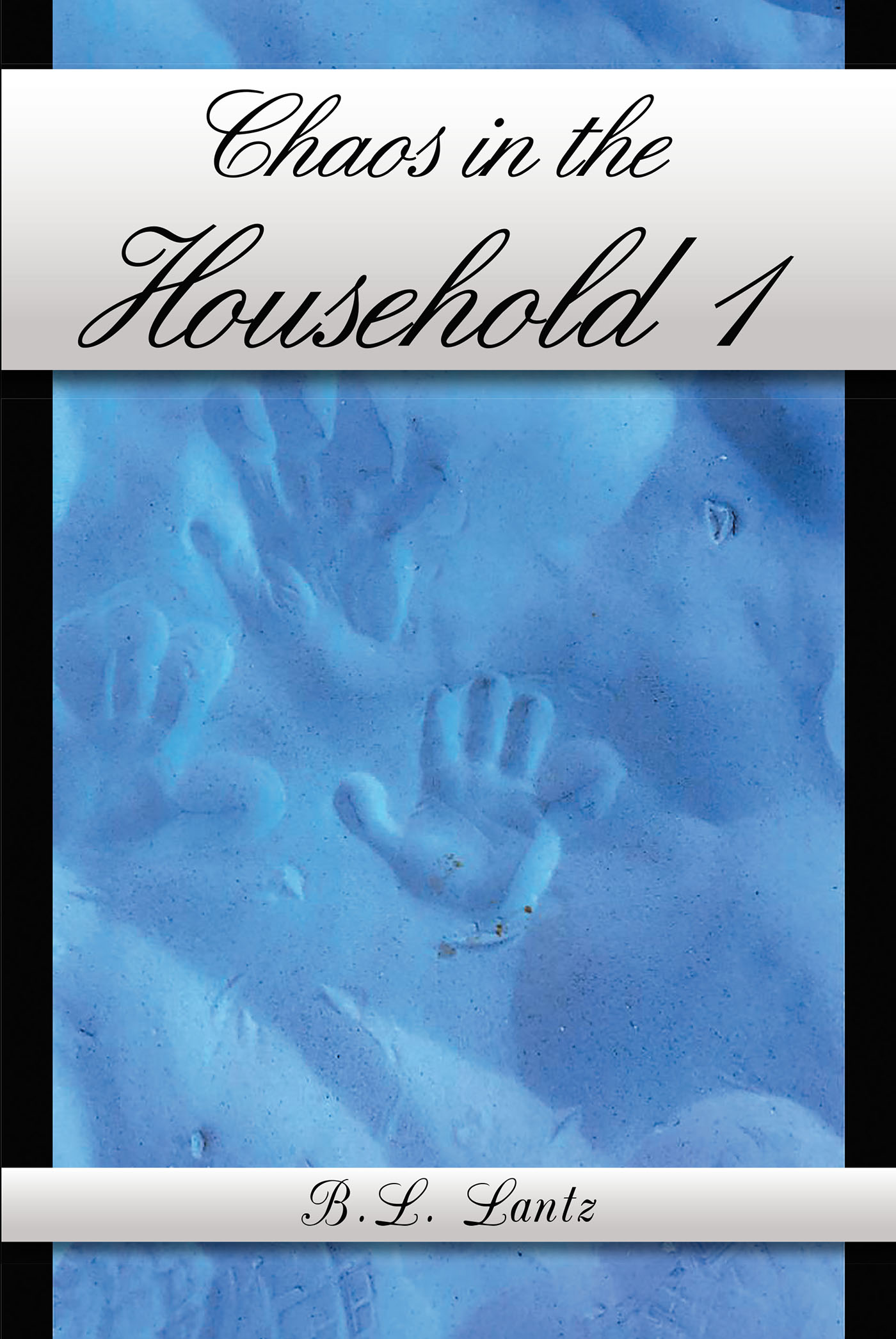 Chaos in the Household 1 Cover Image