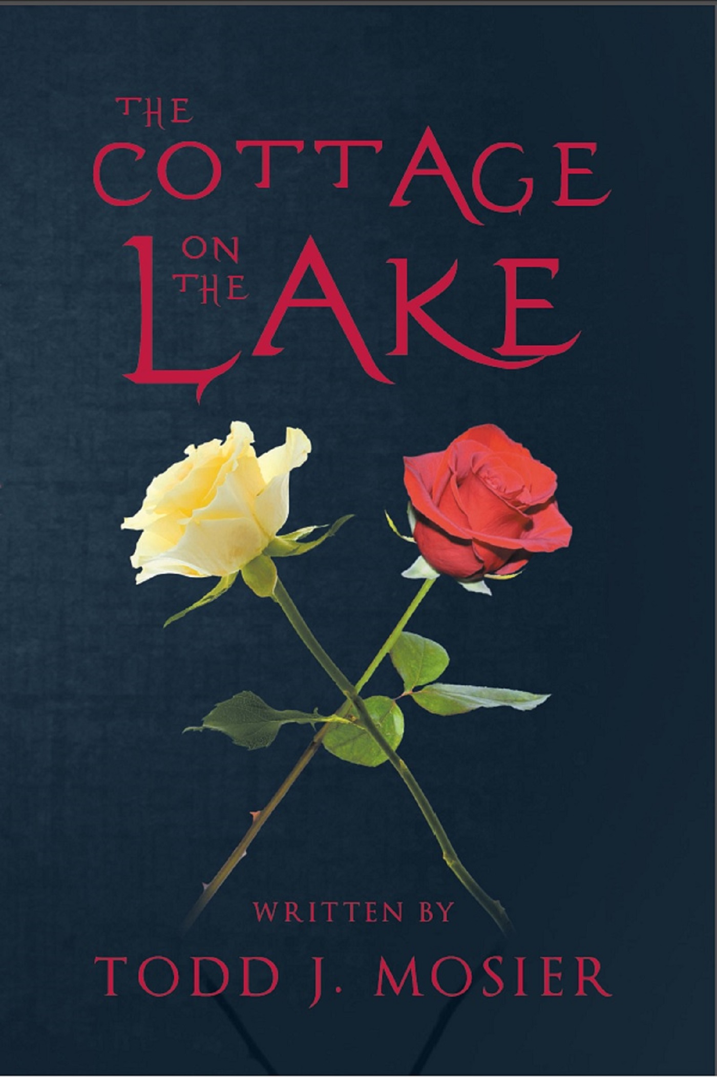 The Cottage on the Lake Cover Image