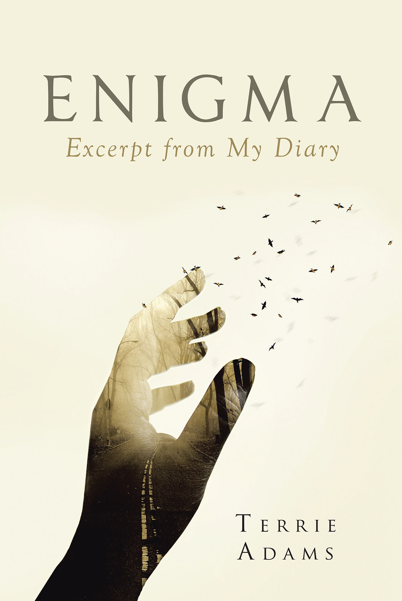 ENIGMA - Excerpt from My Diary Cover Image