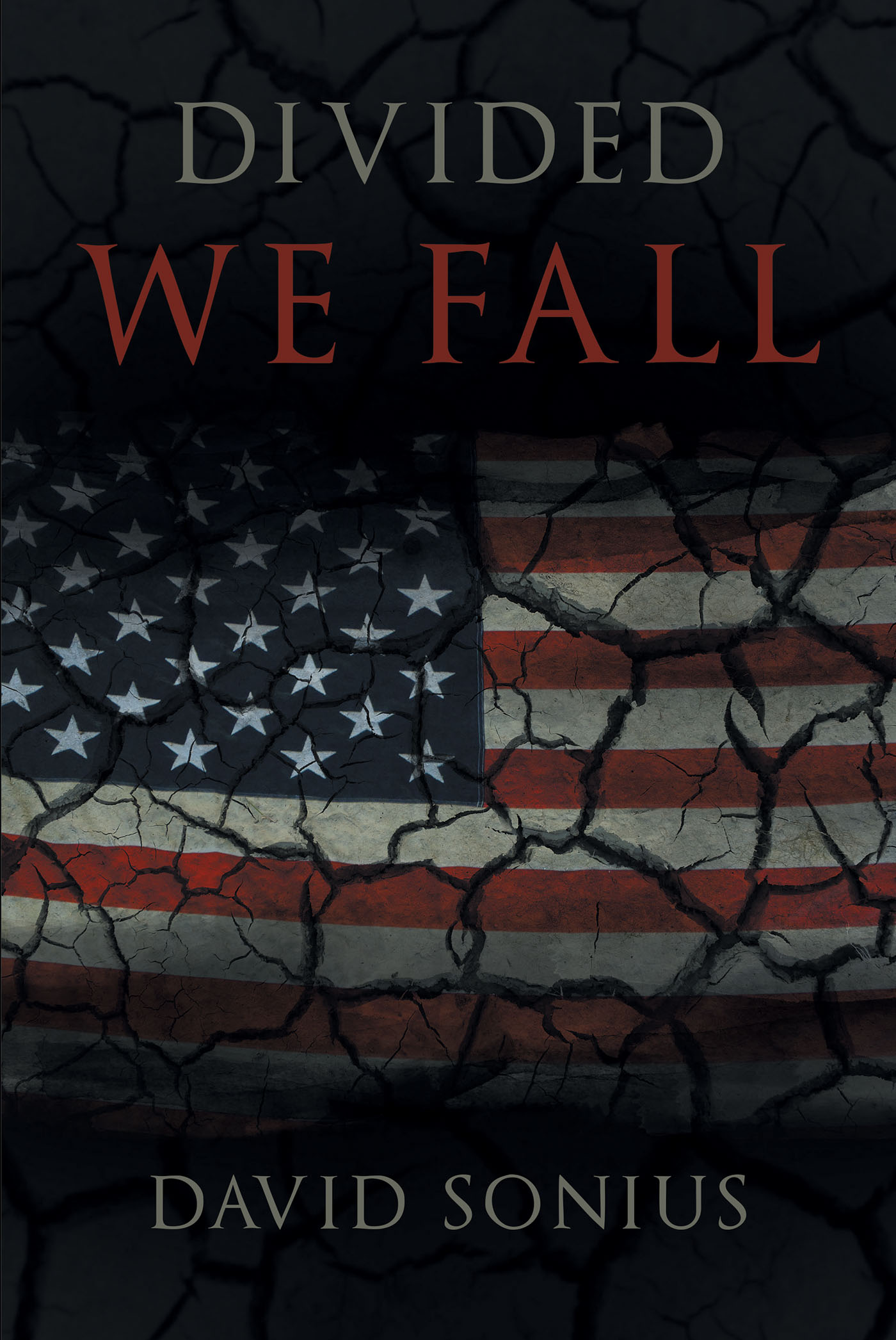 Divided We Fall Cover Image
