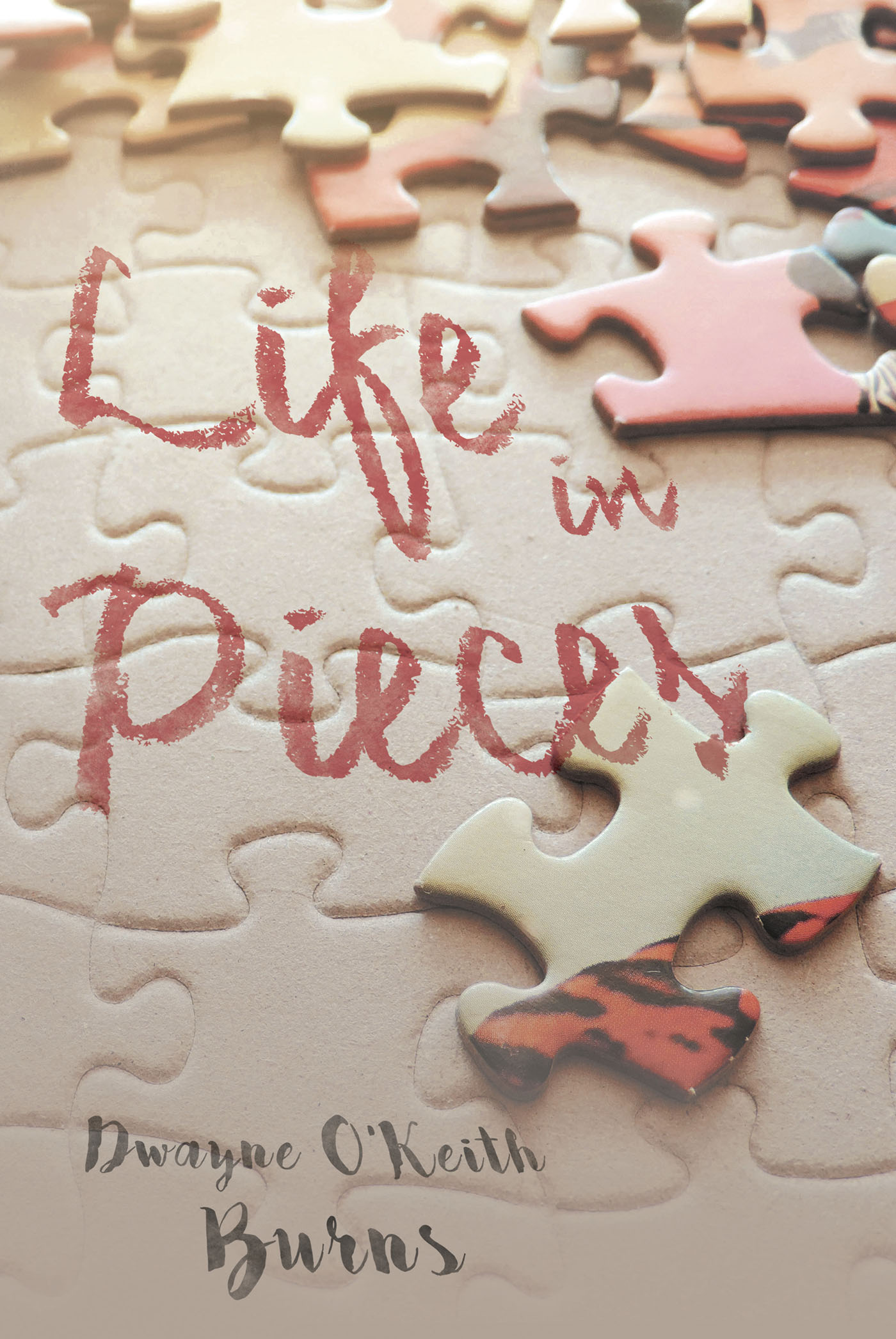  Life in Pieces Cover Image
