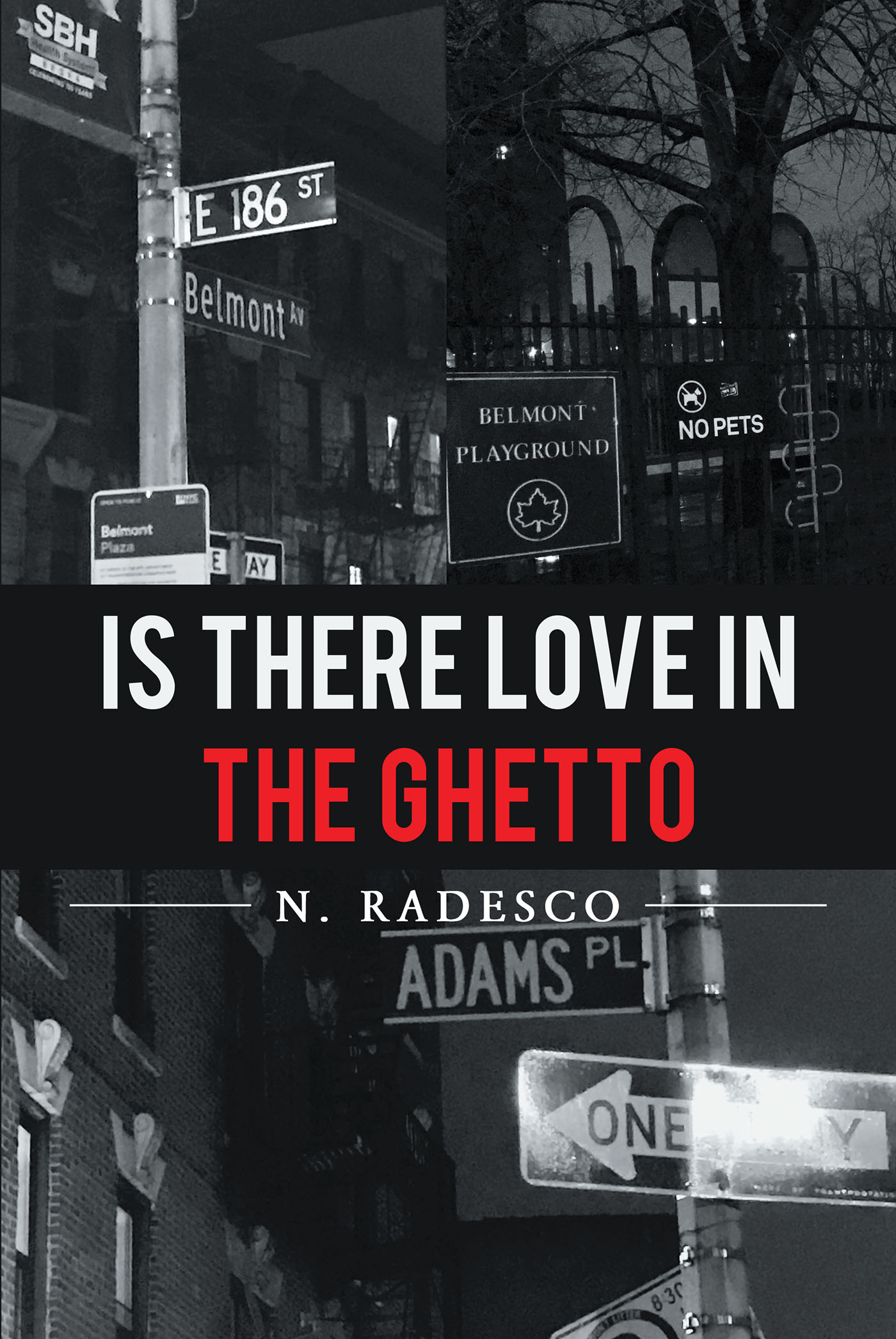 Is There Love in the Ghetto Cover Image