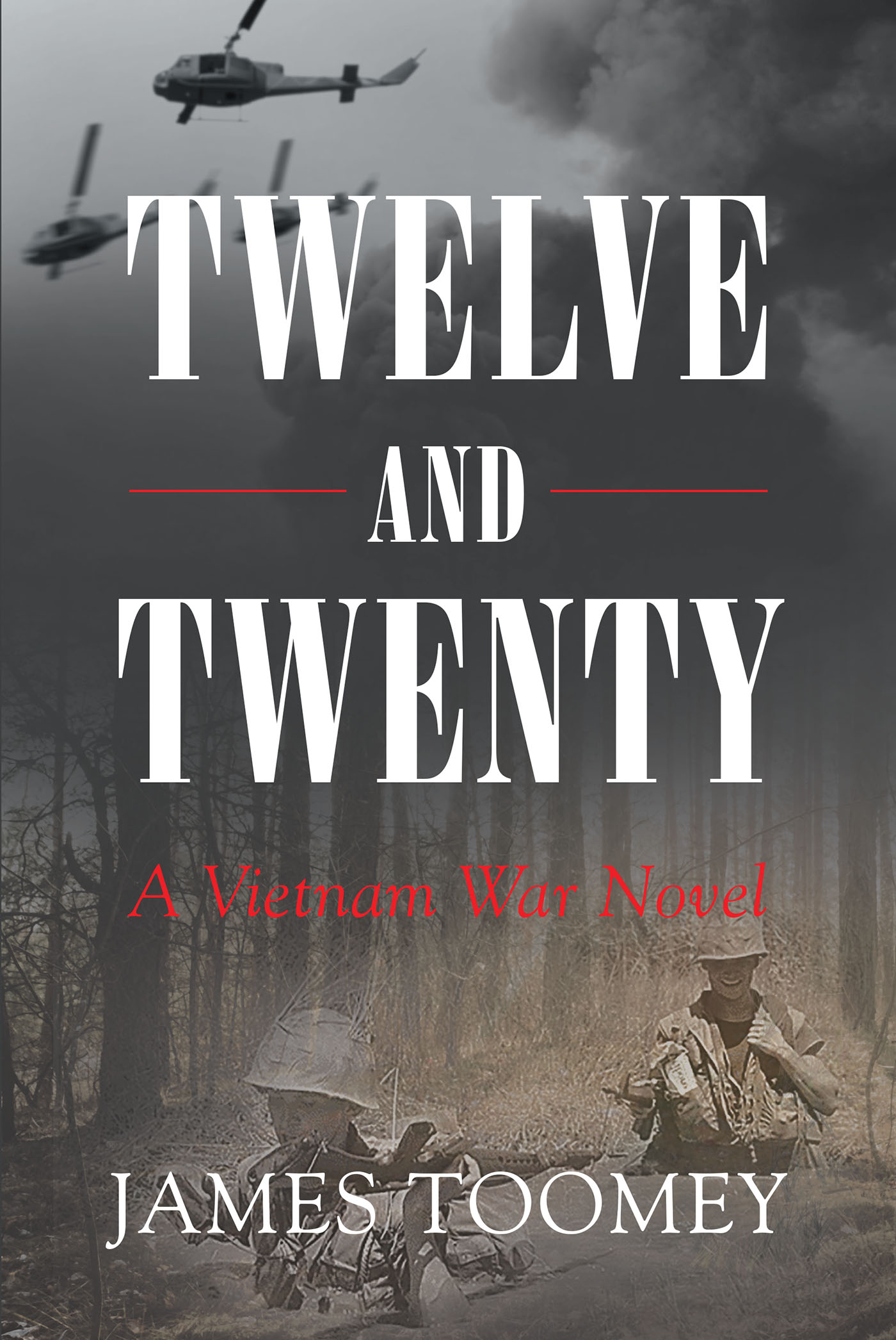 Twelve and Twenty - A Vietnam War Novel Cover Image