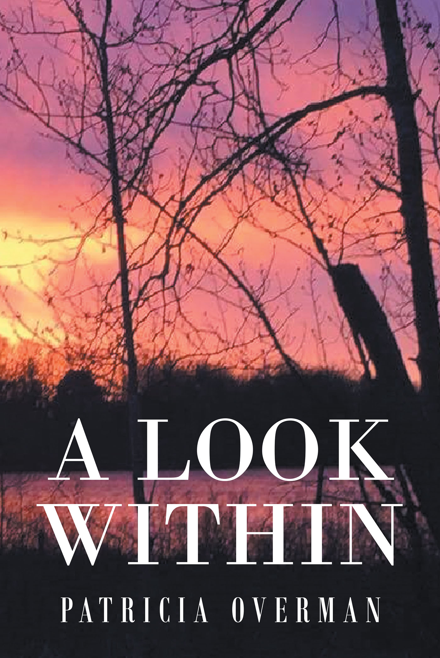 A Look Within Cover Image