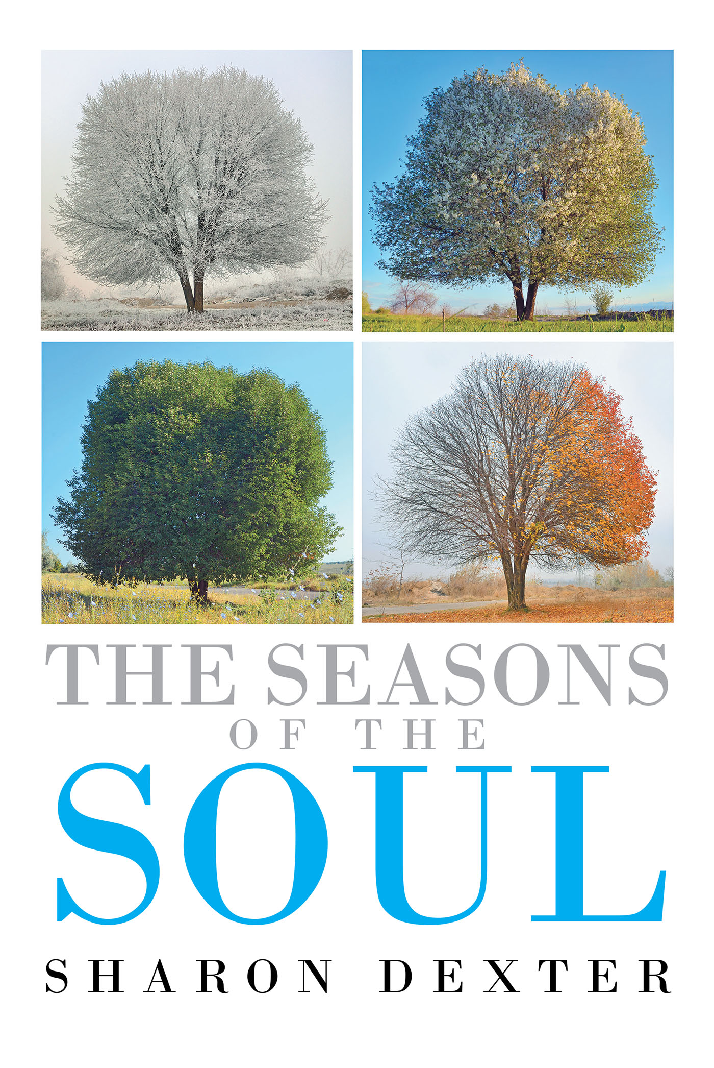 The Seasons of the Soul Cover Image