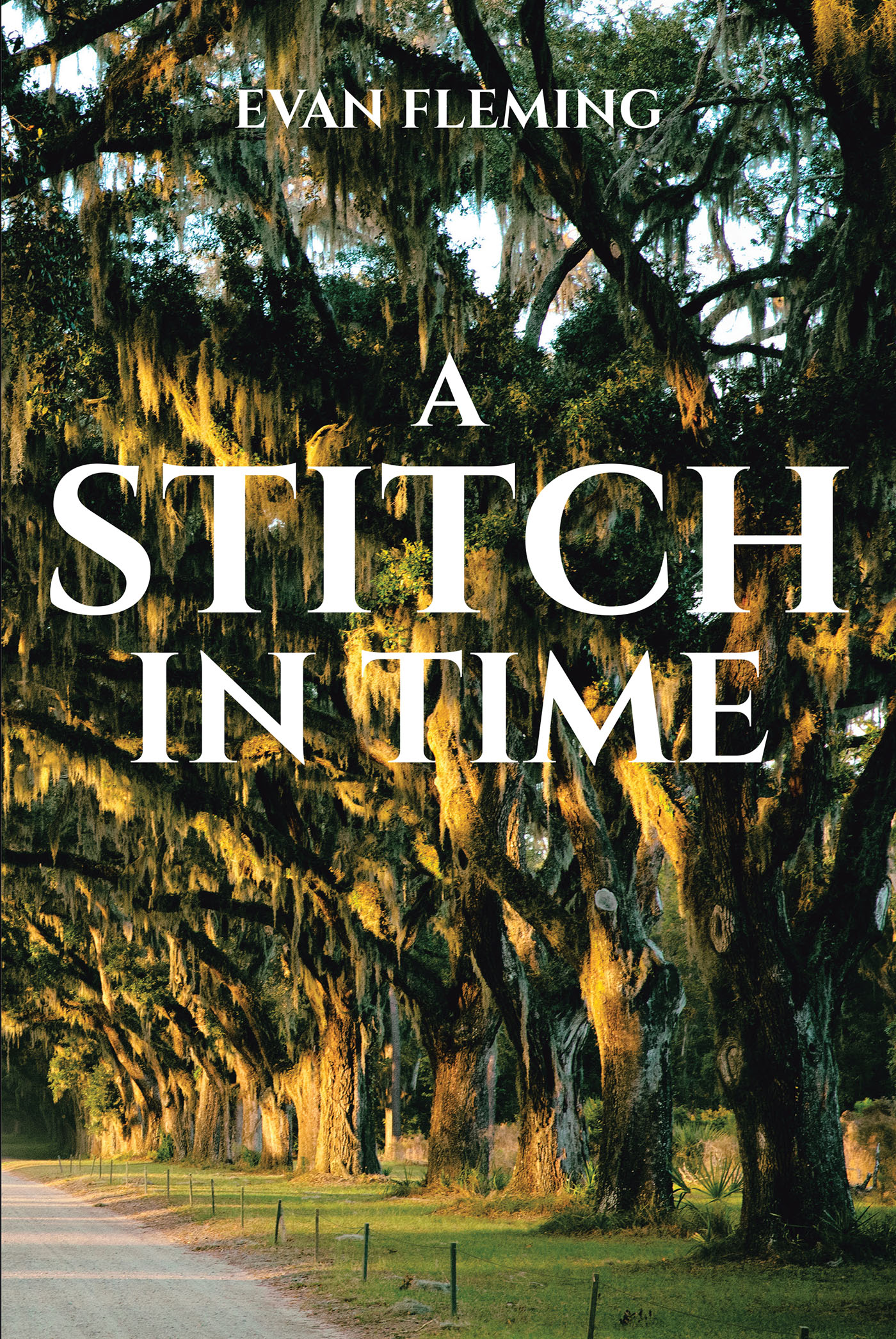 A Stitch in Time Cover Image