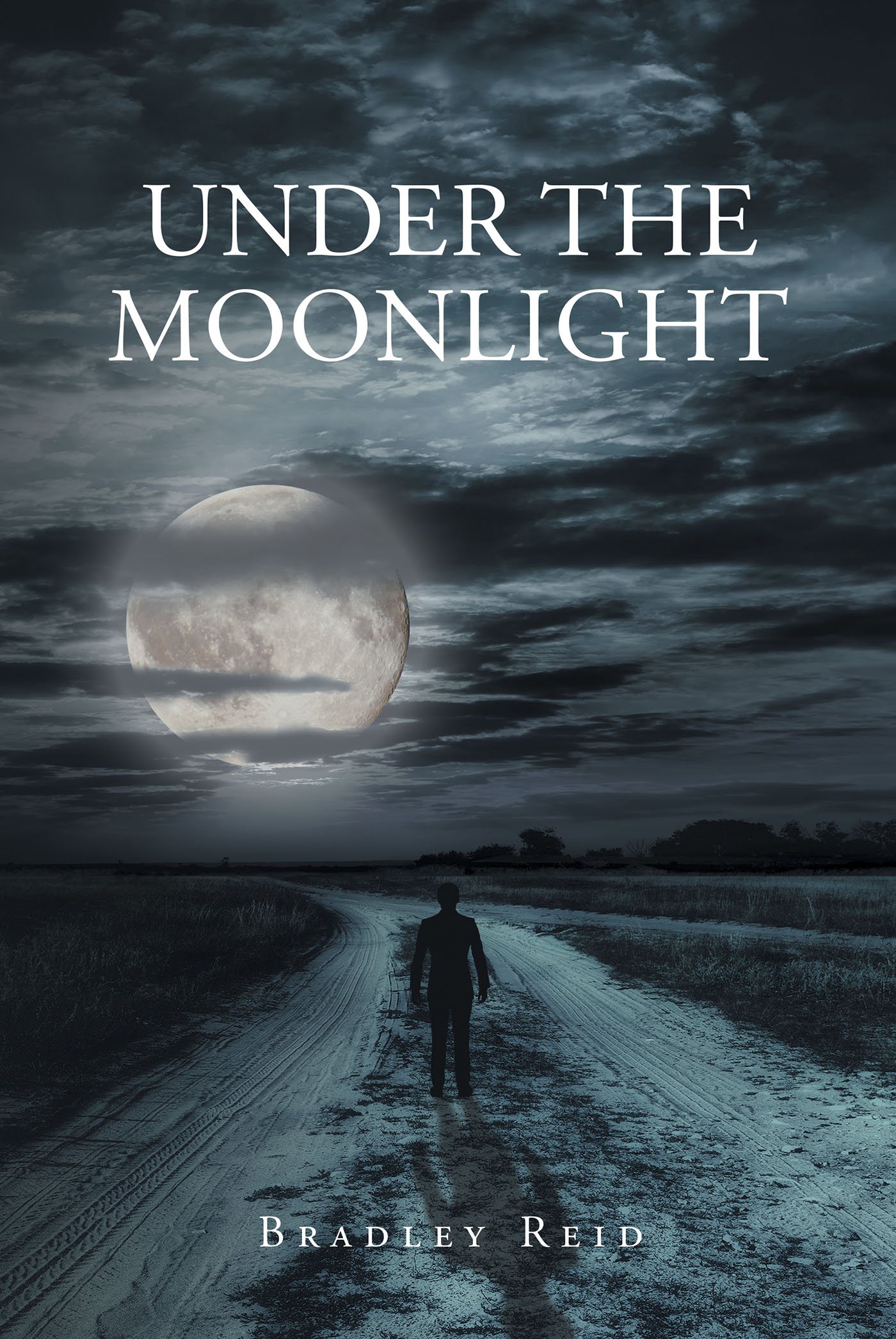 Under the Moonlight Cover Image