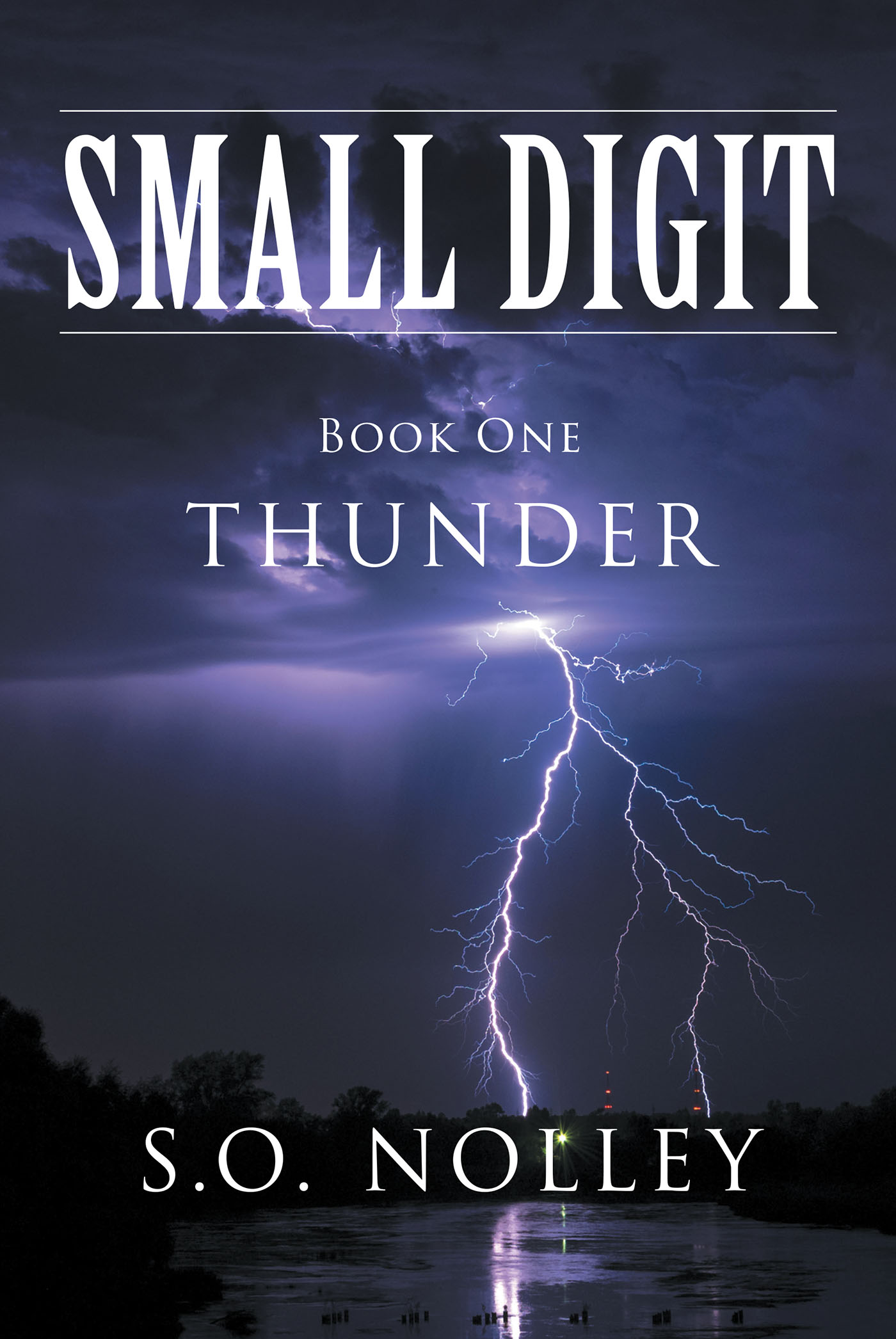 Small Digit Book One Cover Image