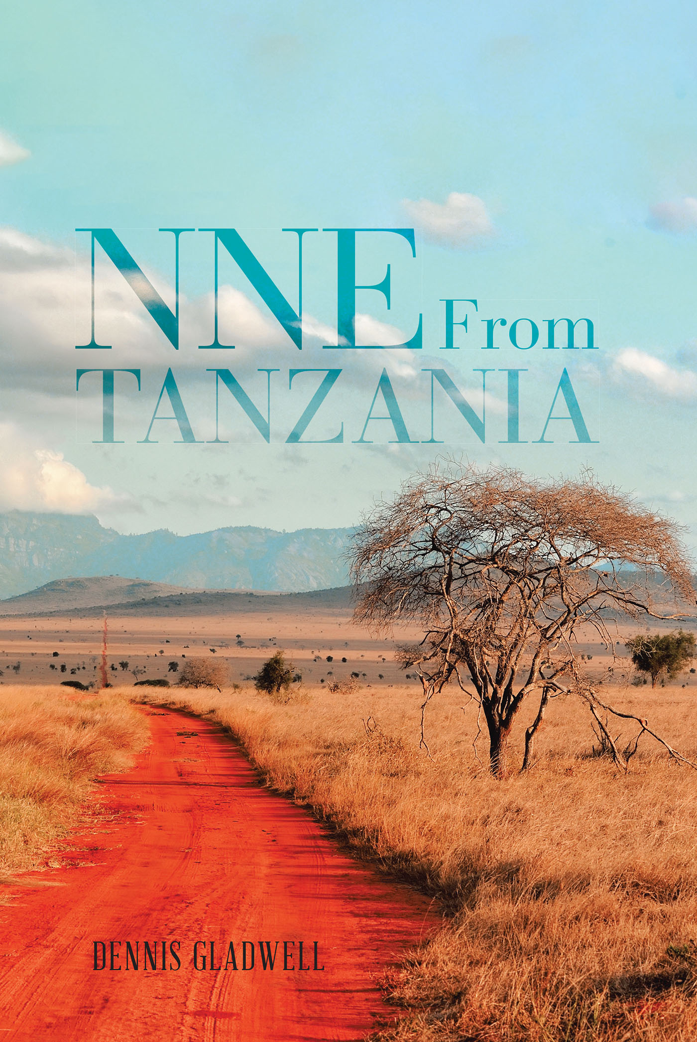 NNE From Tanzania Cover Image