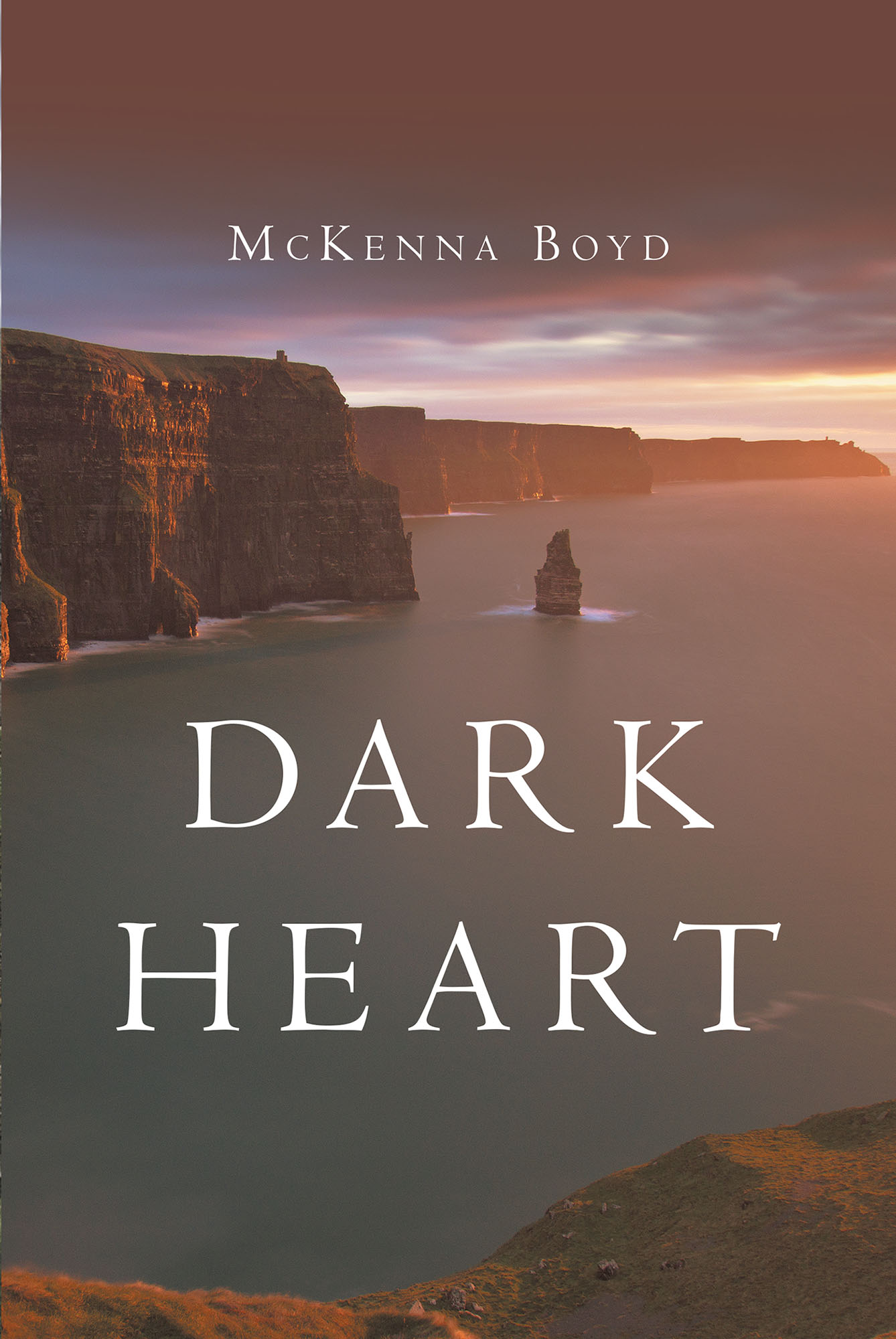 Dark Heart Cover Image