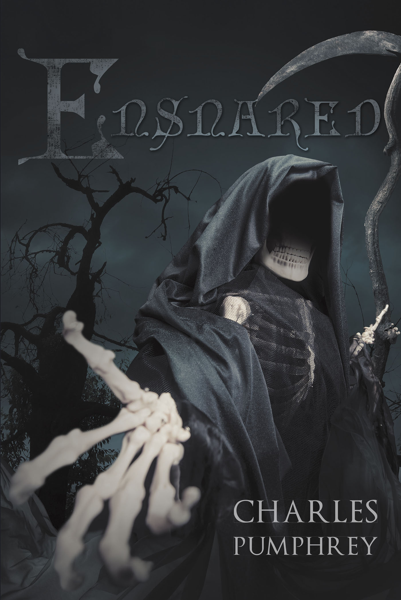 Ensnared Cover Image