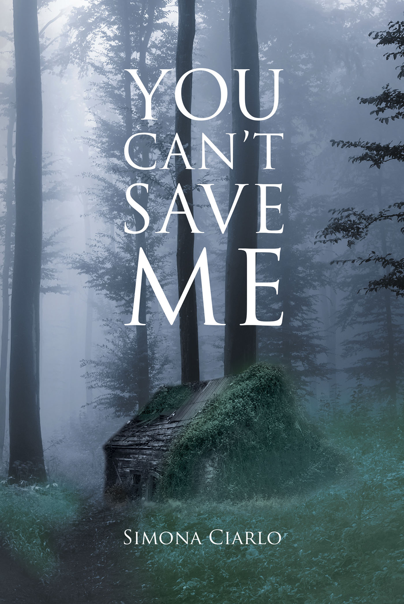 You Can't Save Me Cover Image