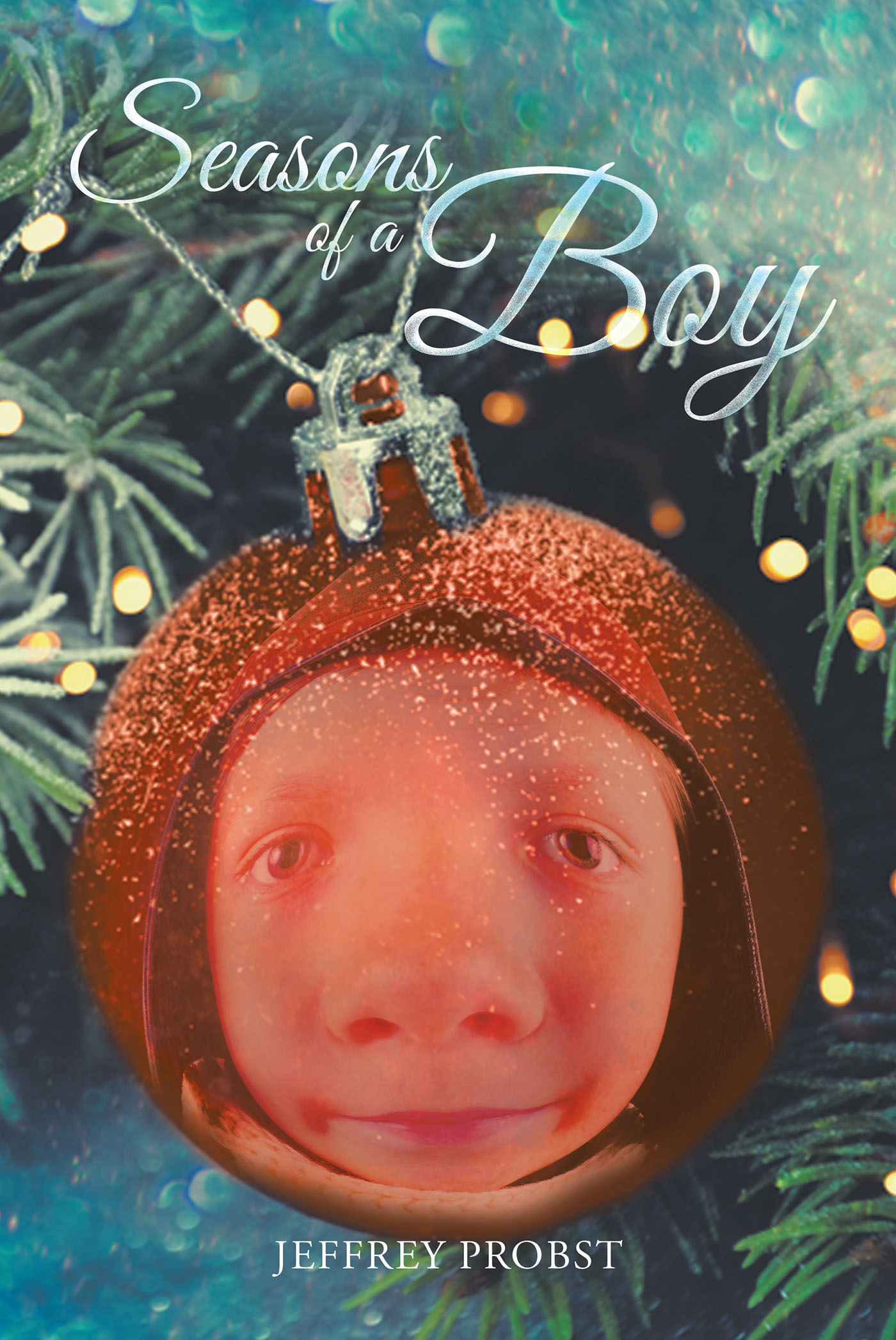 Seasons of a Boy Cover Image