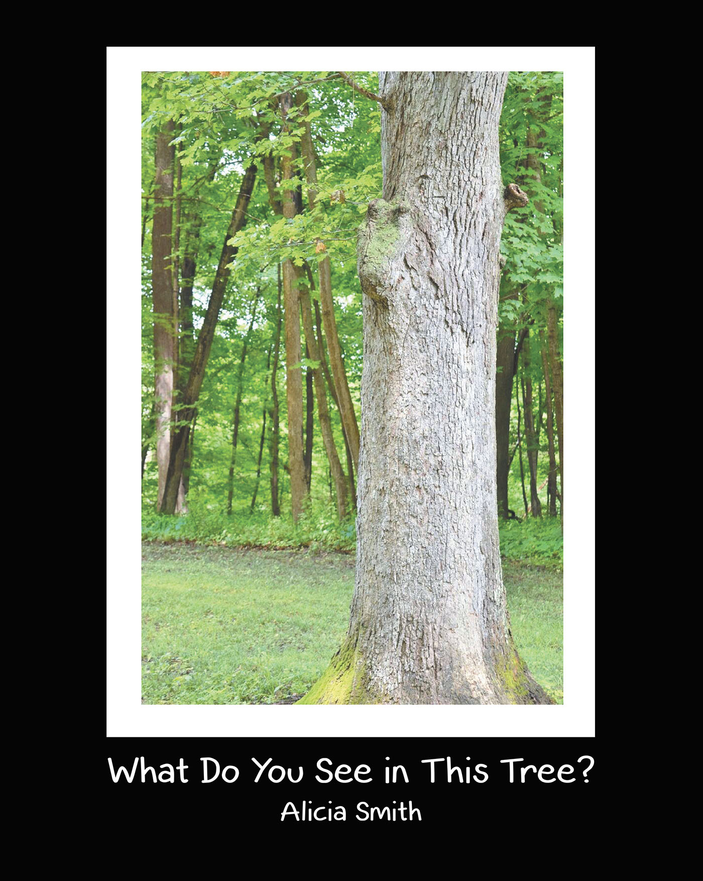 What Do You See in This Tree? Cover Image