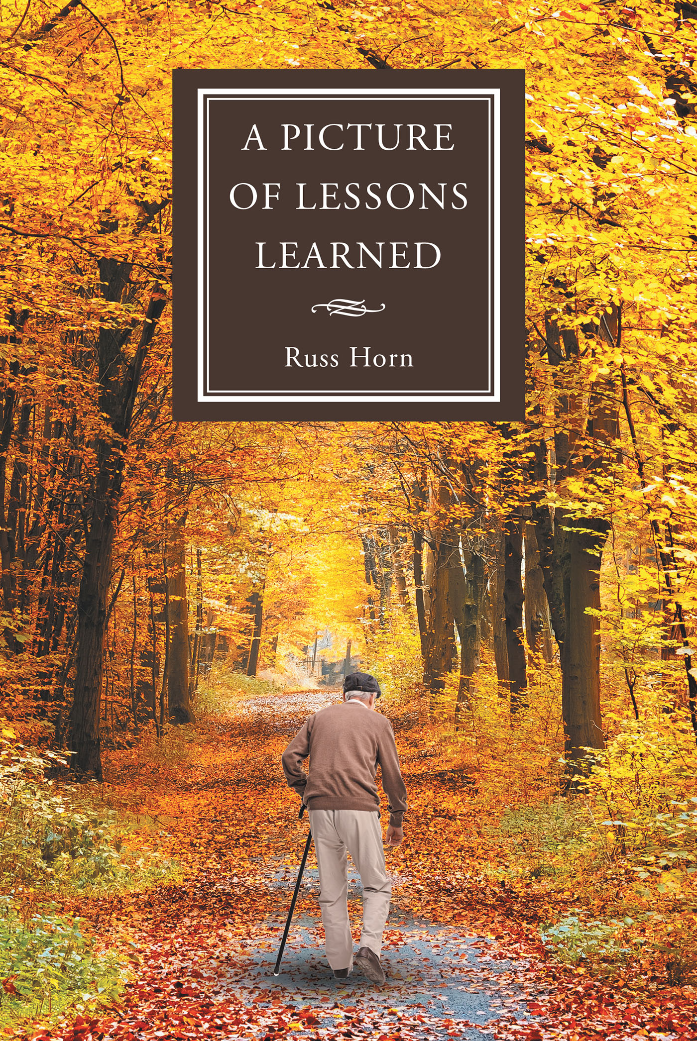A Picture of Lessons Learned Cover Image