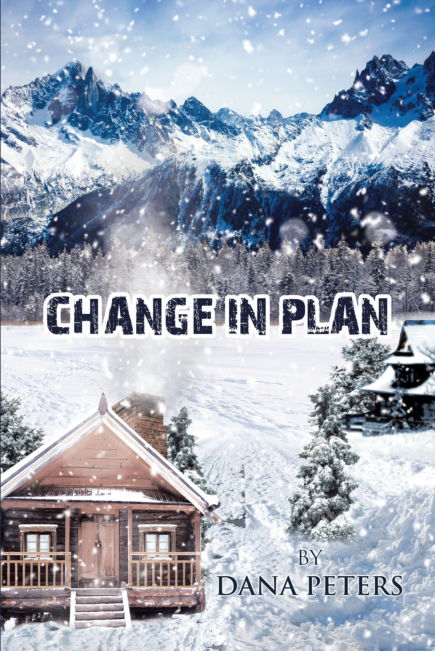 Change in Plan Cover Image