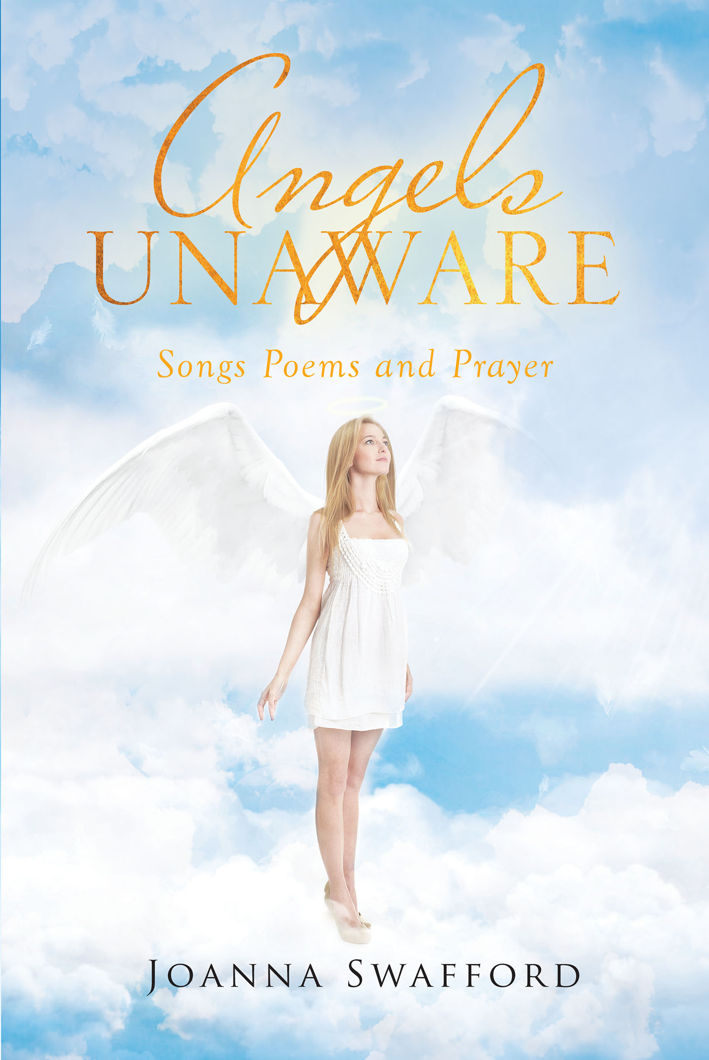 Angels Unaware  Cover Image