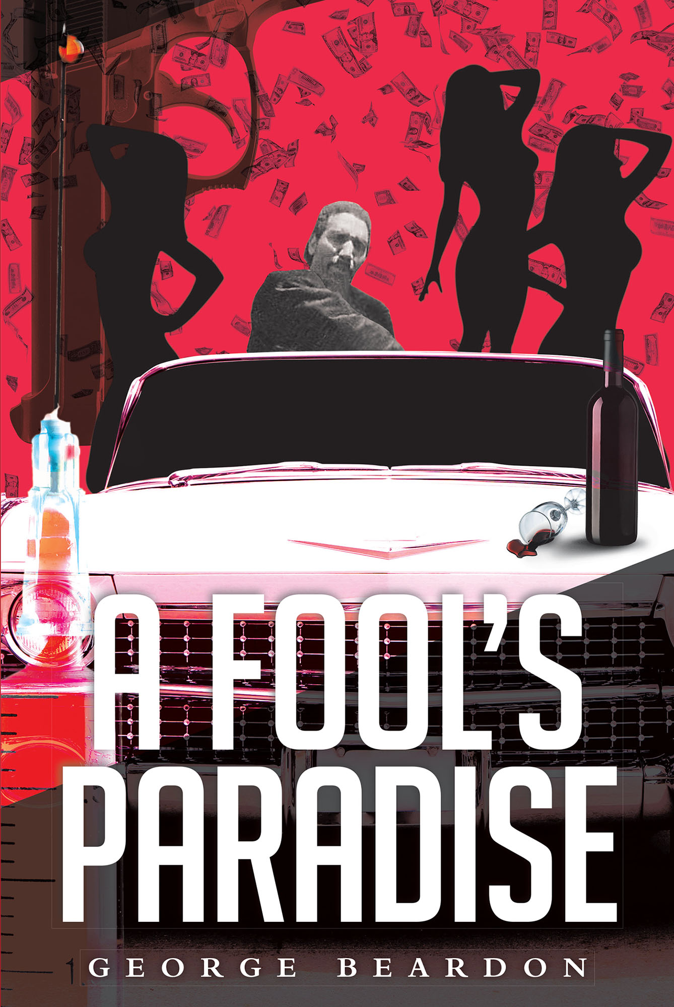 A Fool's Paradise  Cover Image
