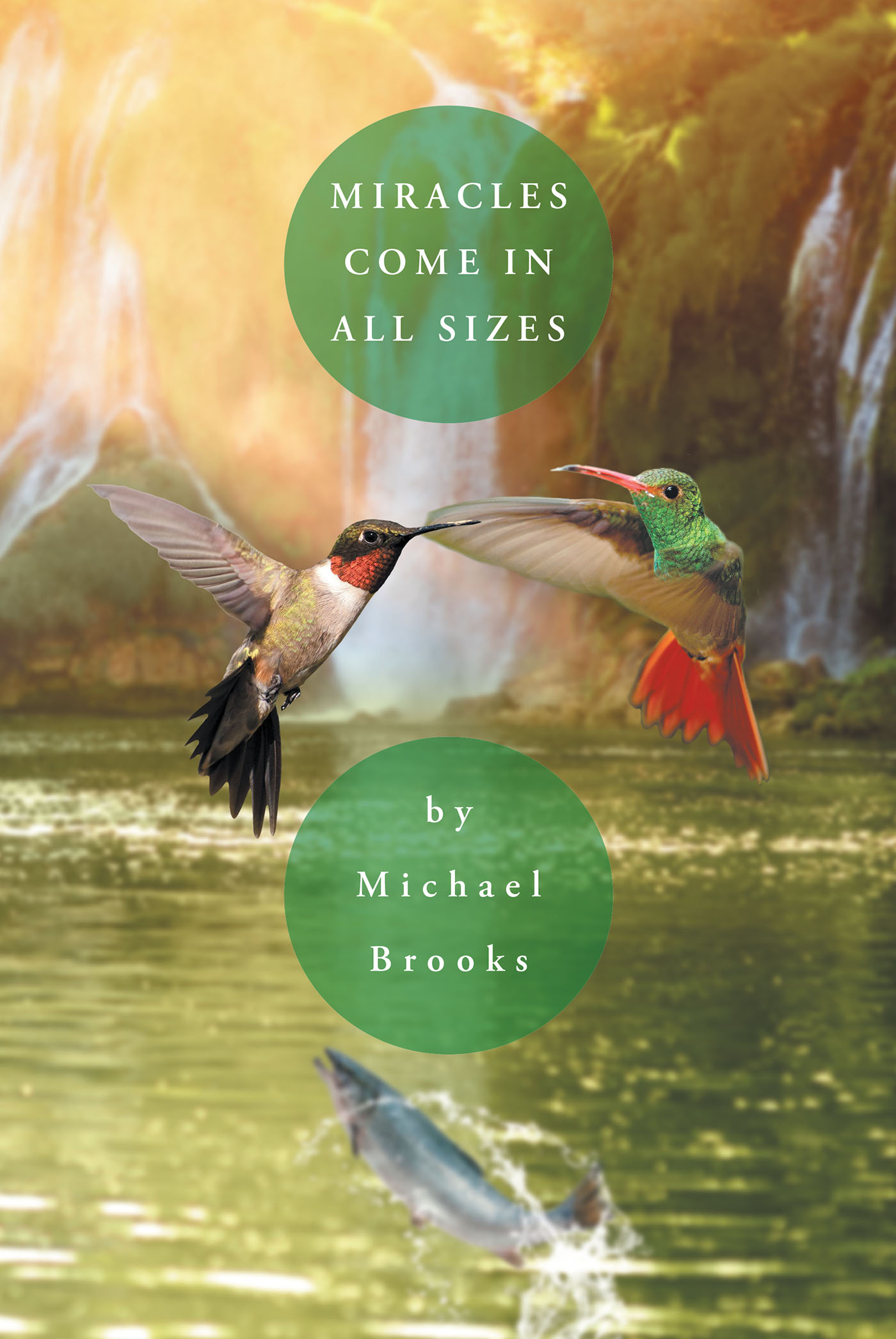 Miracles Come in All Sizes Cover Image