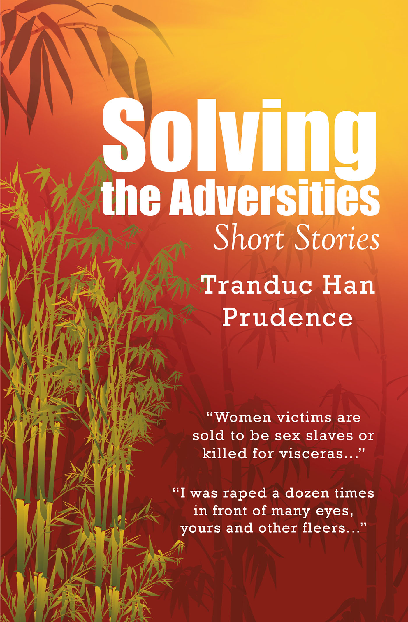 Solving the Adversities Cover Image