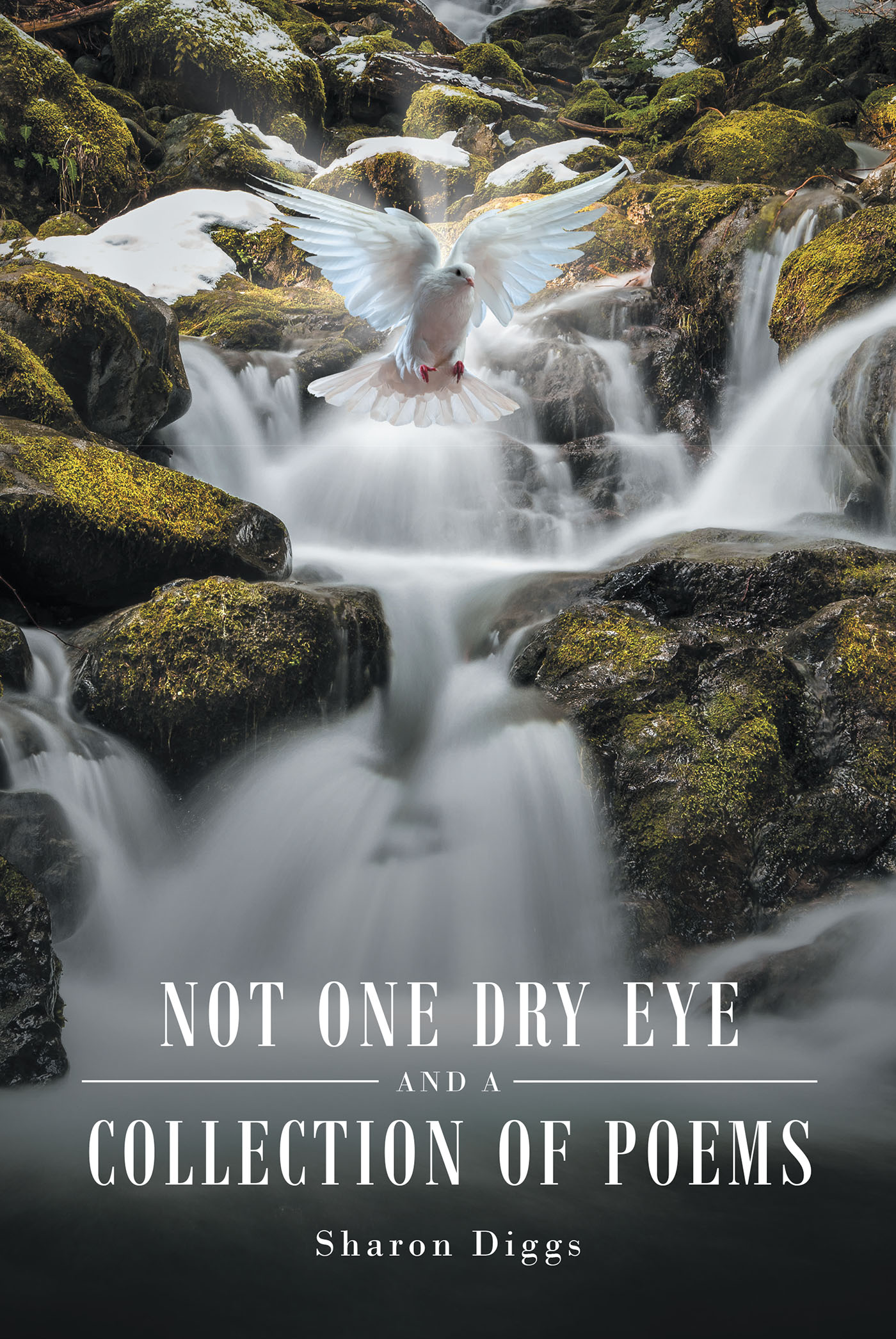 Not One Dry Eye and a Collection of Poems Cover Image