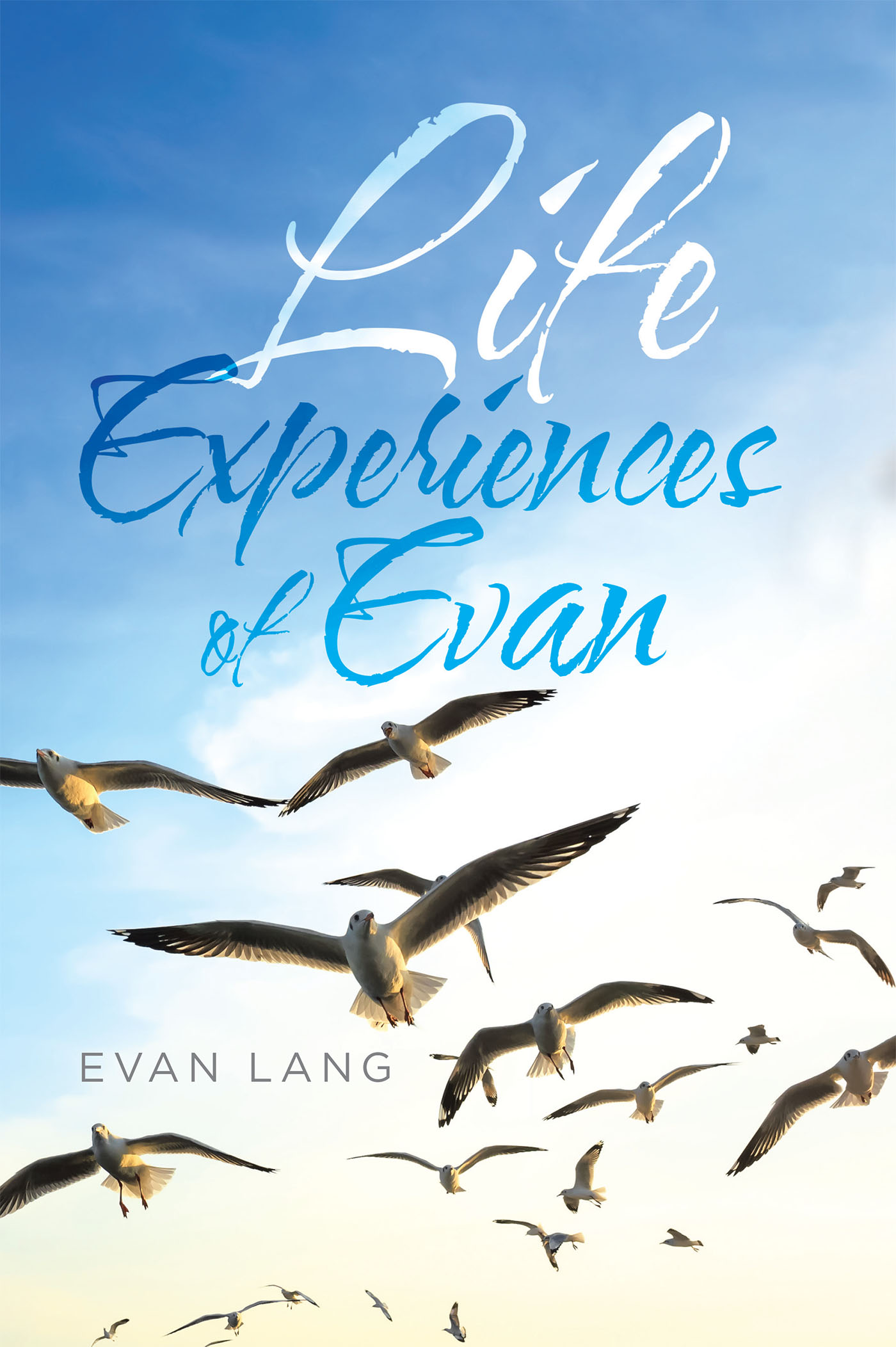 Life Experiences of Evan  Cover Image
