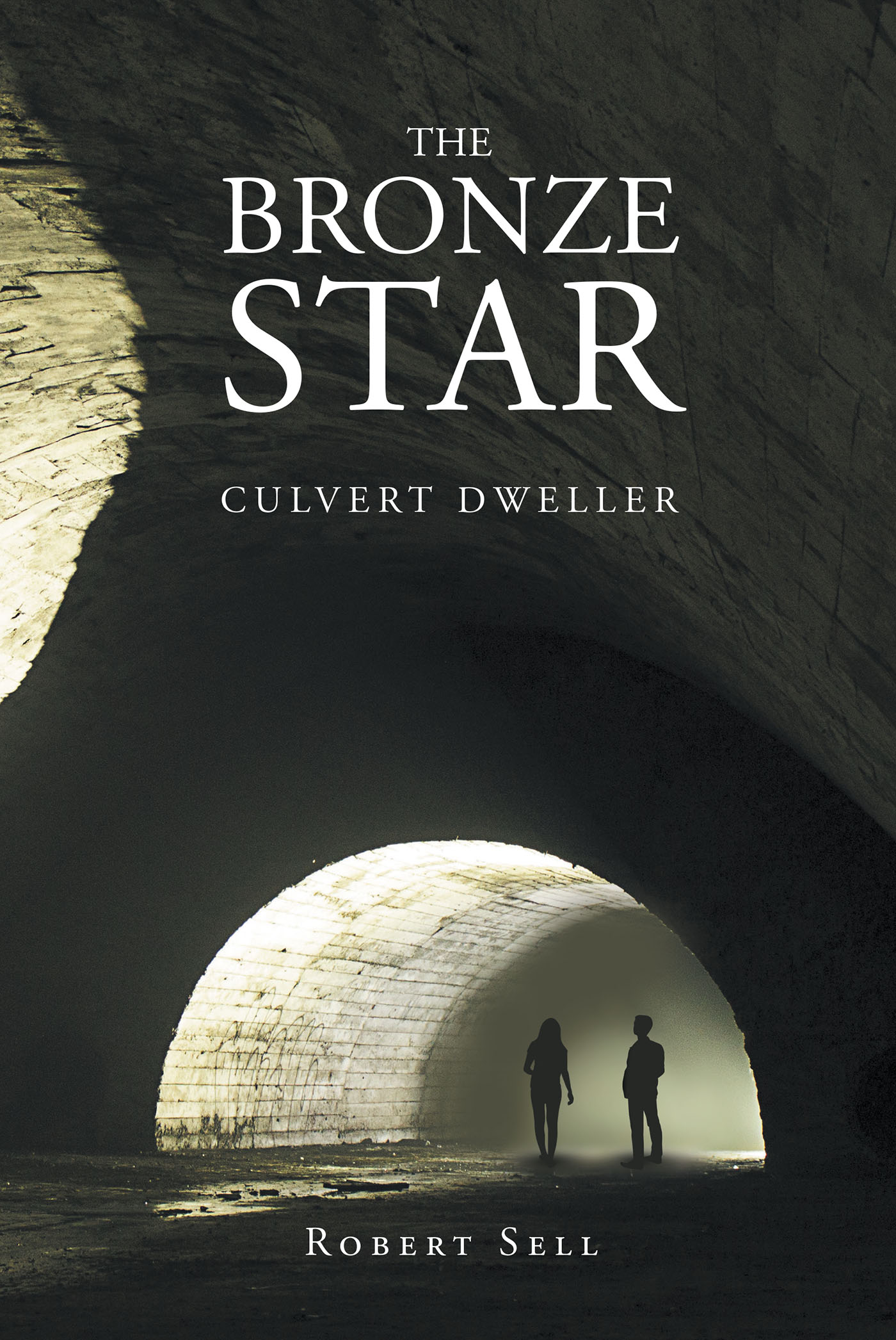 The Bronze Star Cover Image