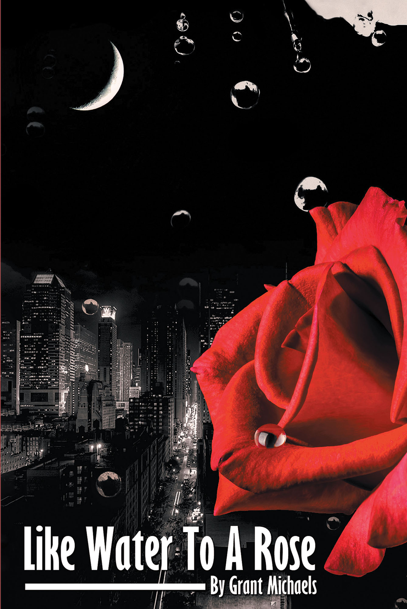 Like Water to a Rose Cover Image
