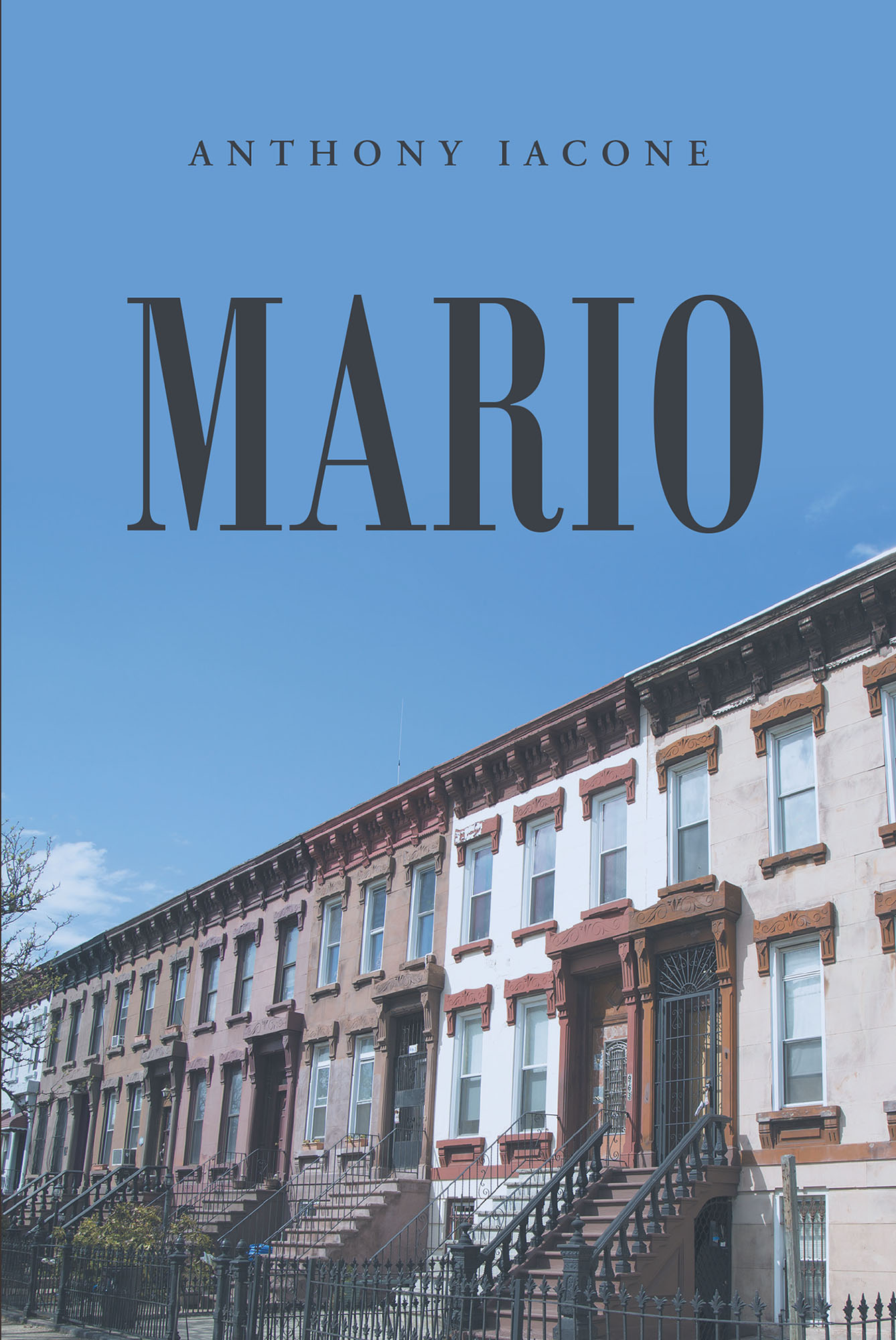 Mario Cover Image