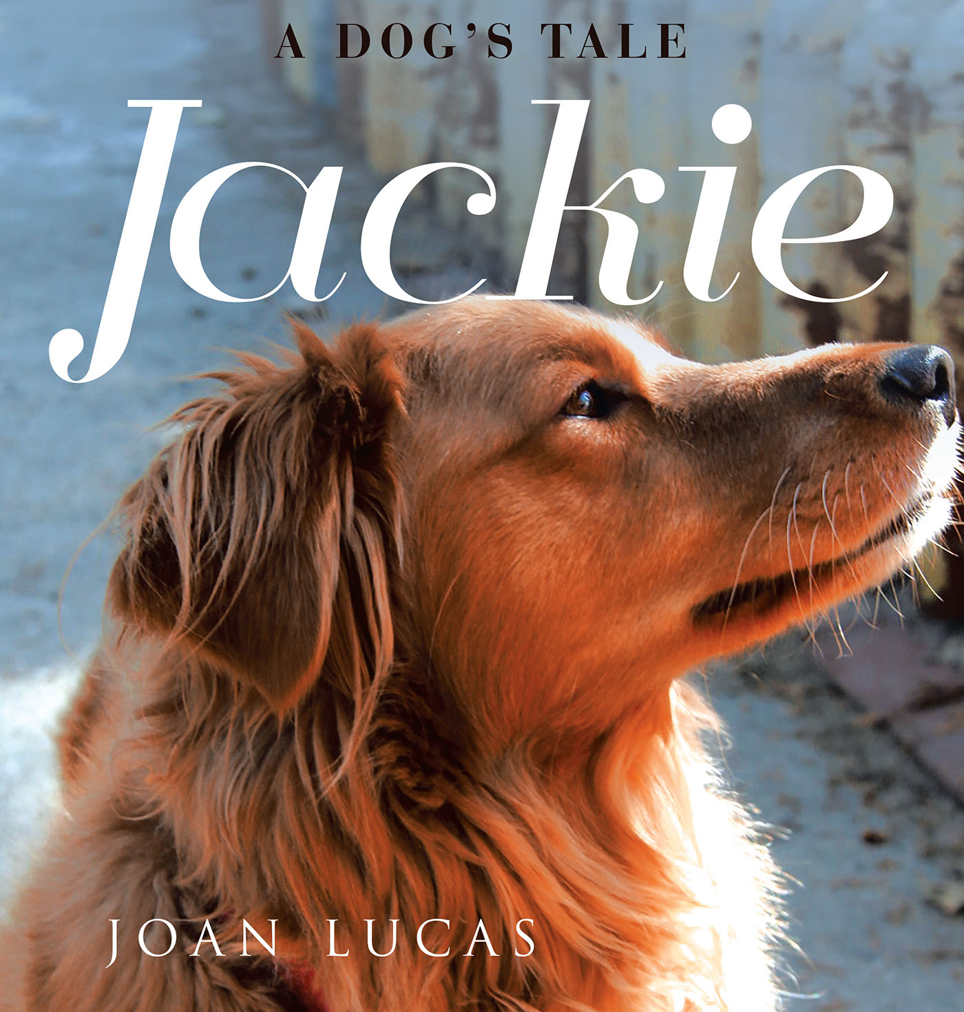Jackie Cover Image