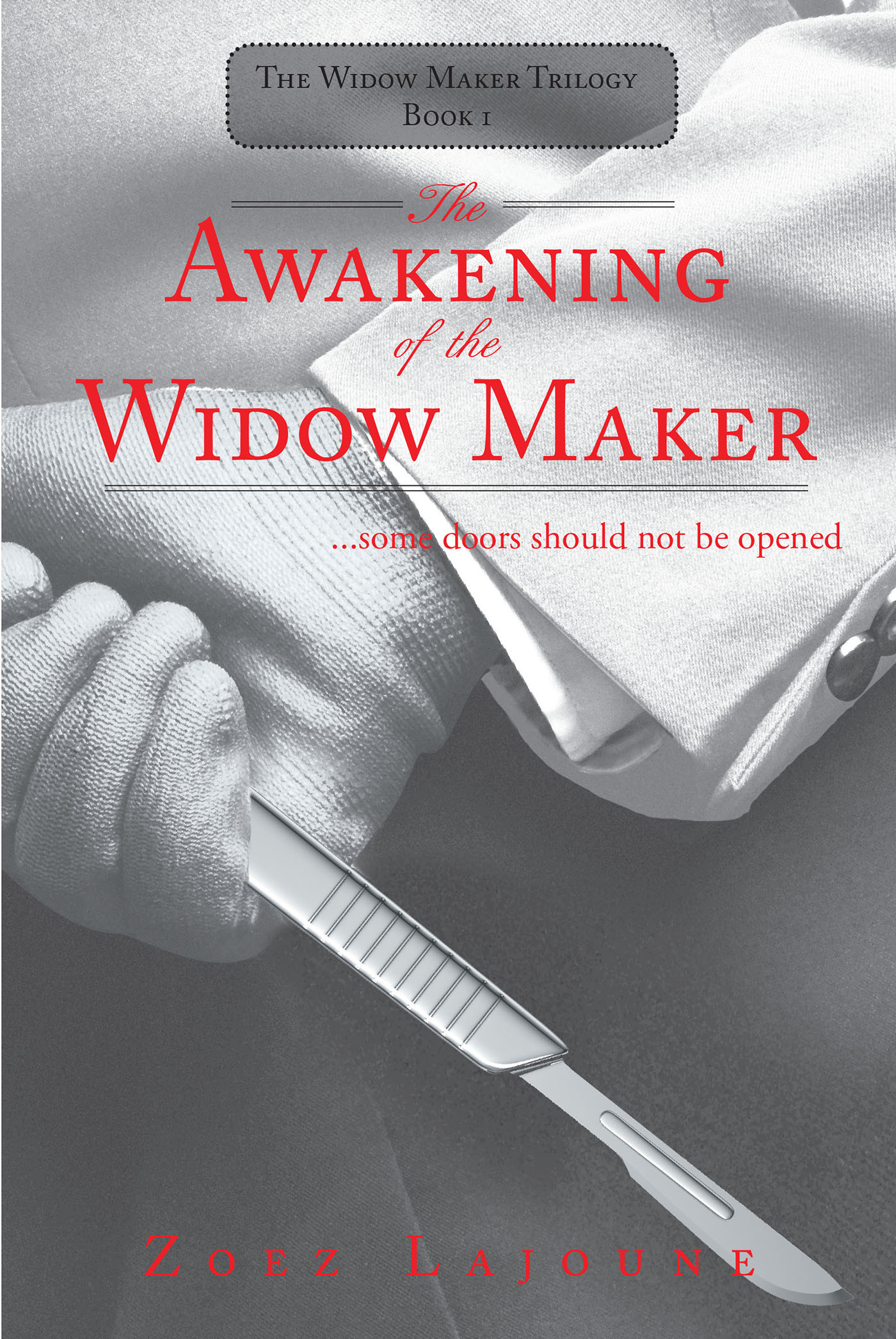 The Awakening of the Widow Maker  Cover Image