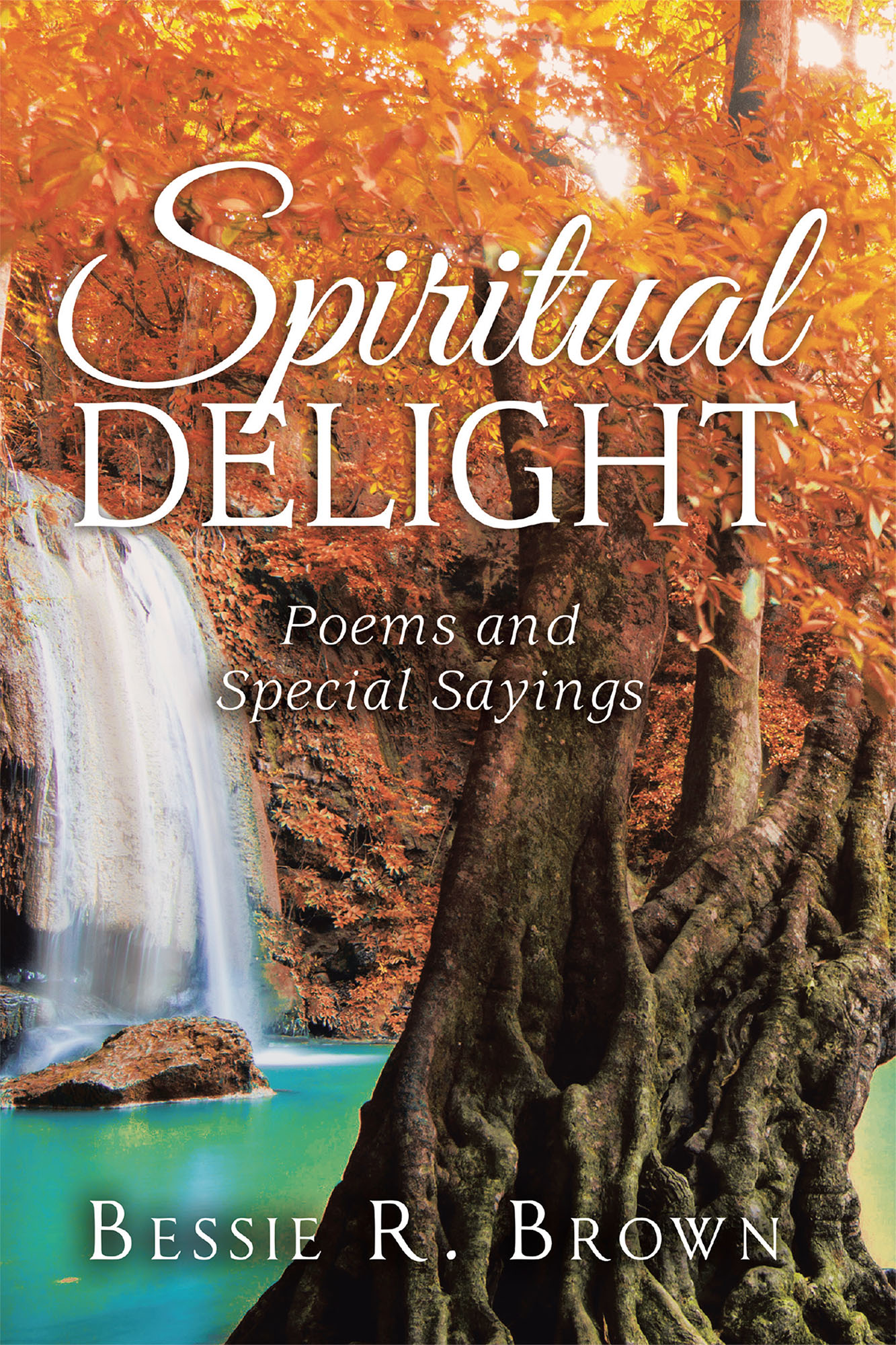 Spiritual Delight Cover Image