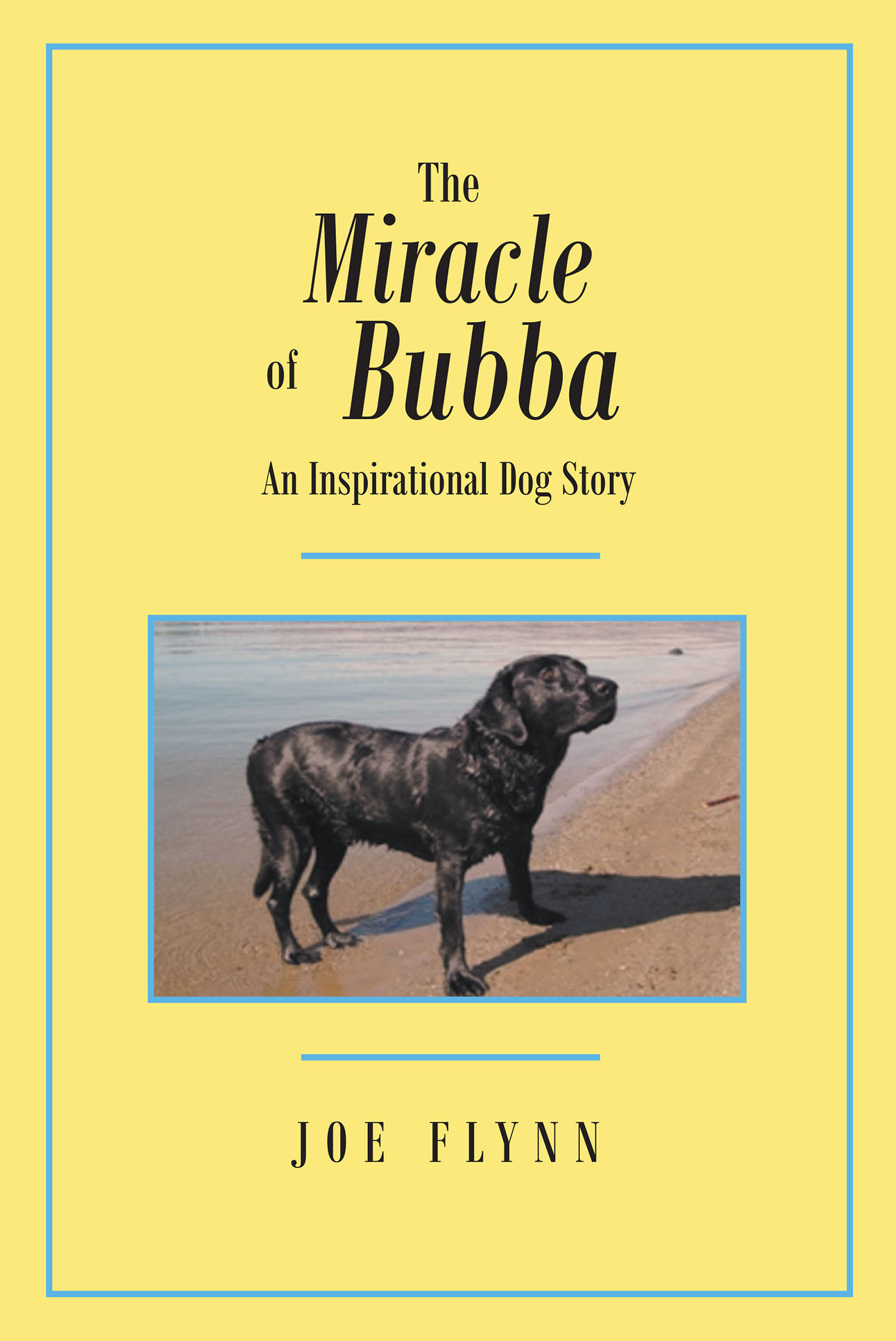 The Miracle of Bubba Cover Image