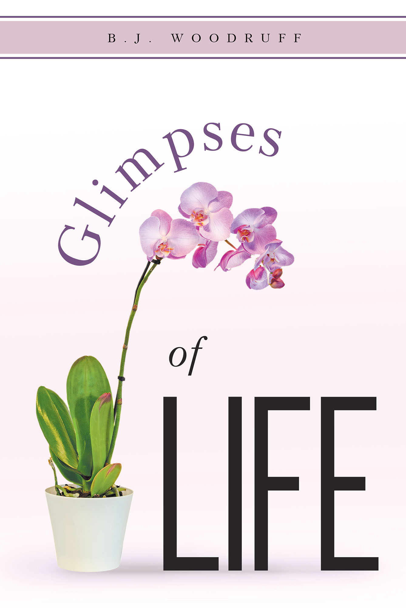 Glimpses of Life Cover Image