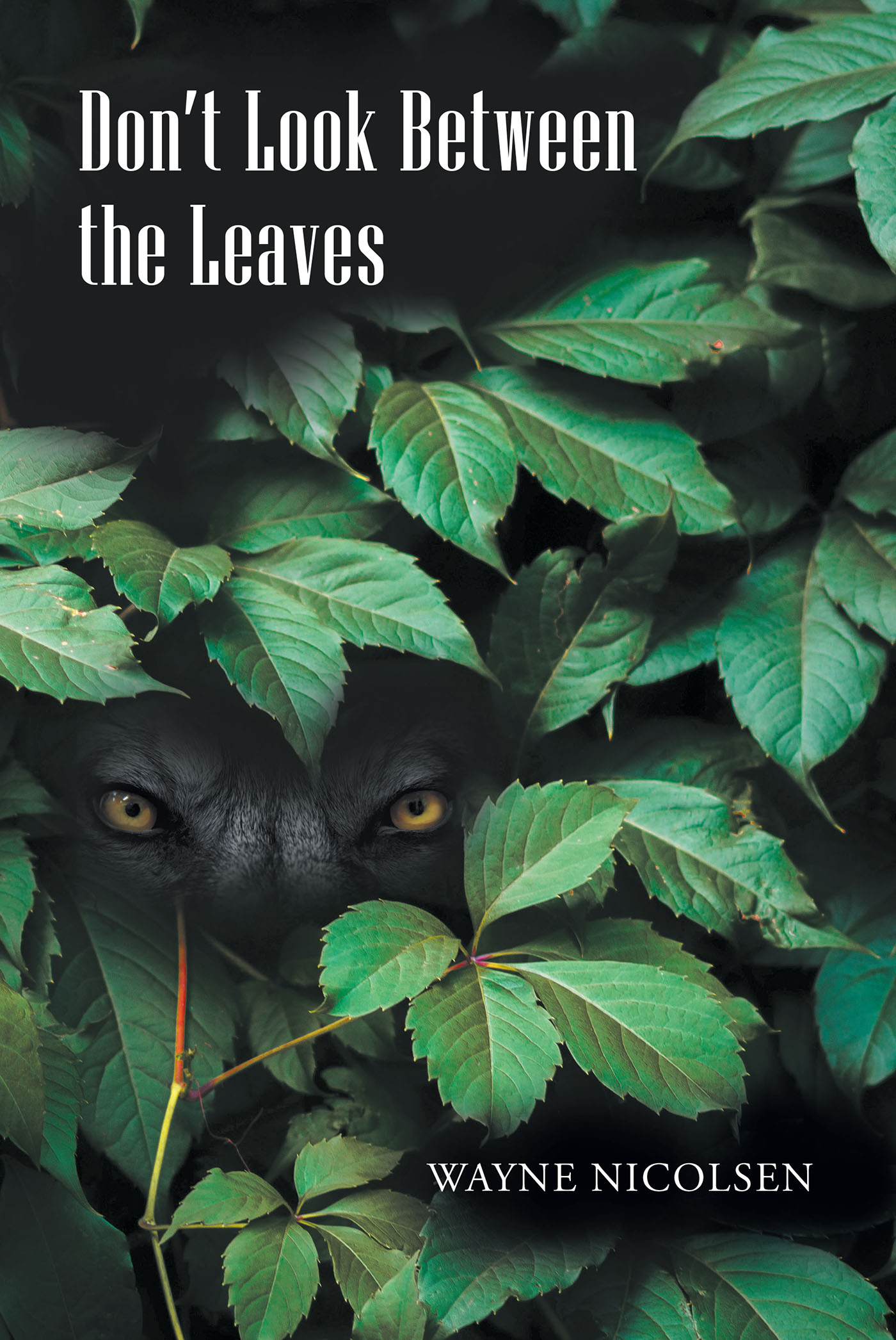 Don't Look Between the Leaves Cover Image