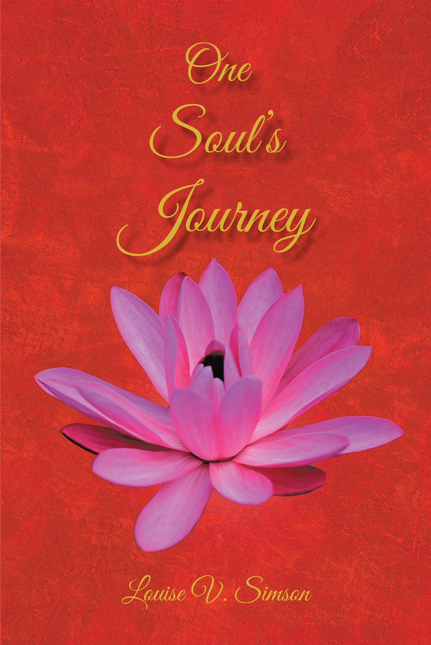 One Soul's Journey Cover Image