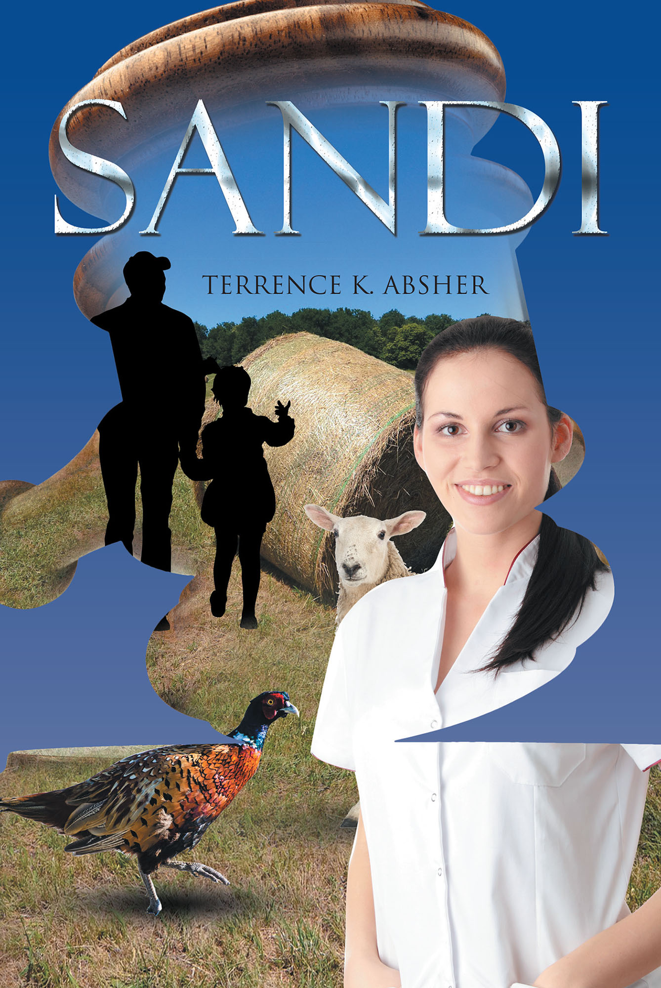 Sandi Cover Image