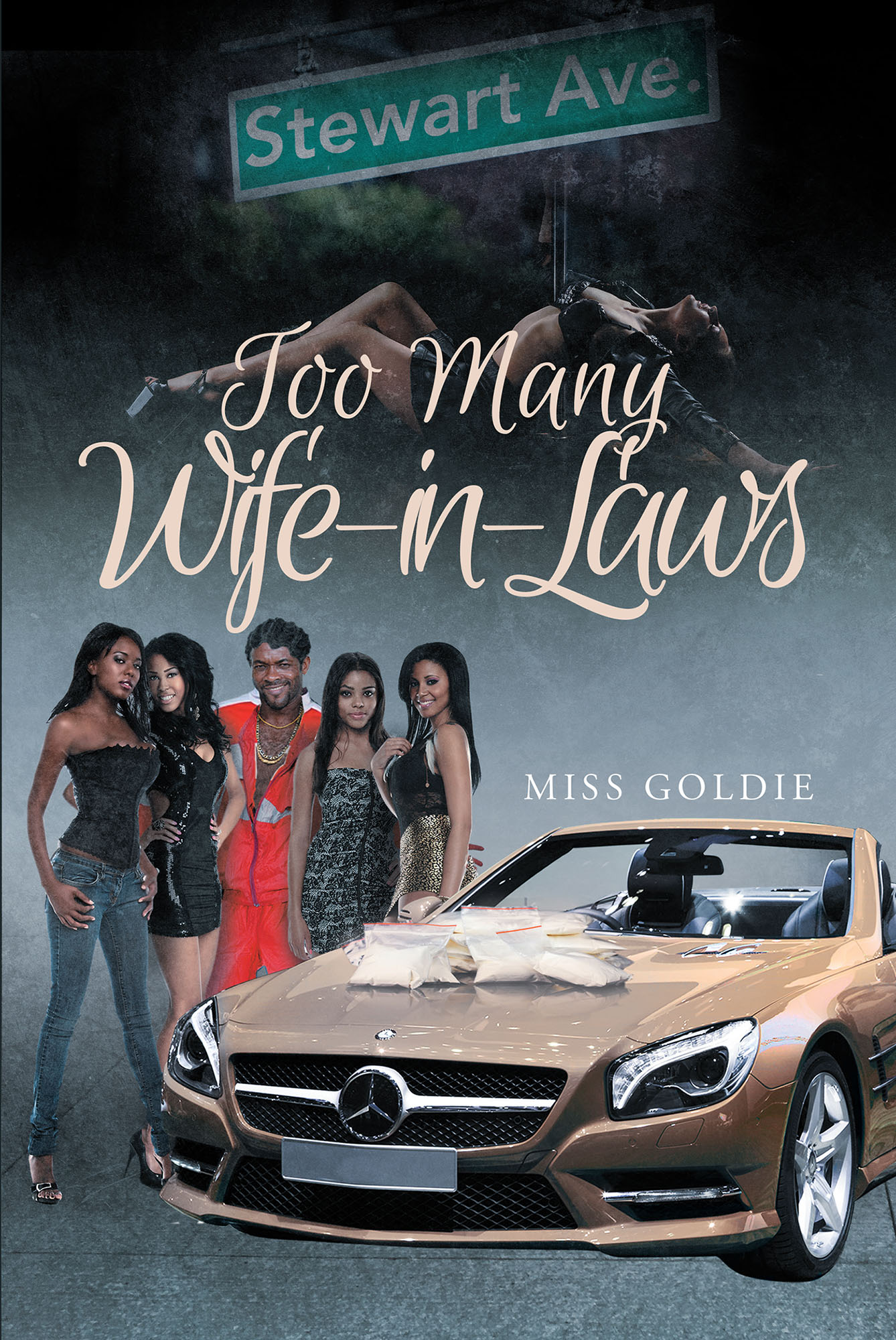 Too Many Wife-in-Laws Cover Image