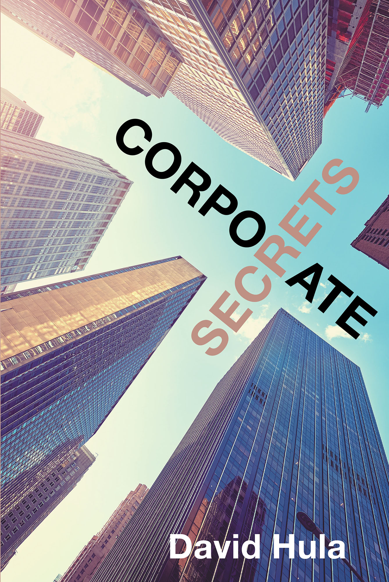 Corporate Secrets Cover Image