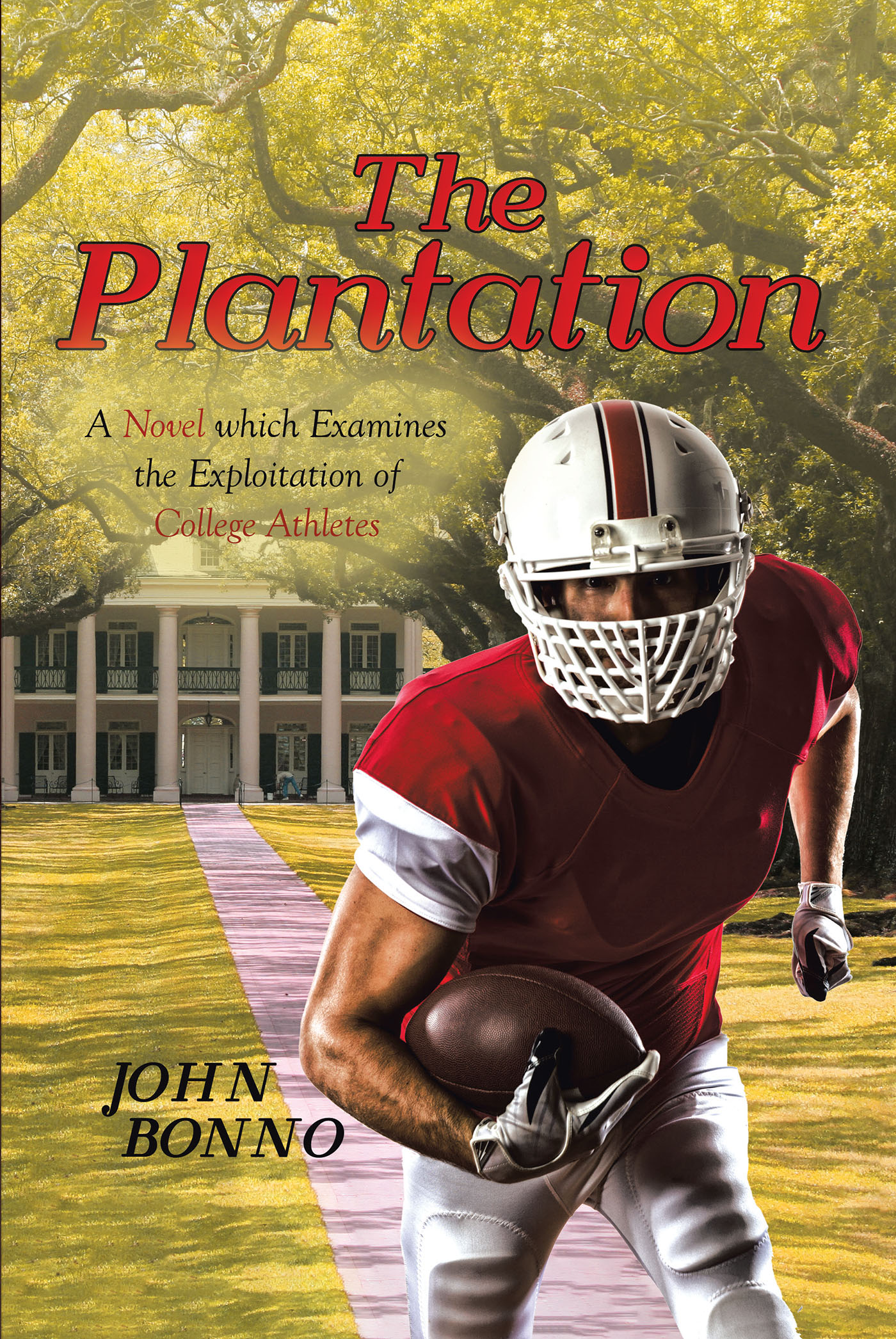 The Plantation Cover Image