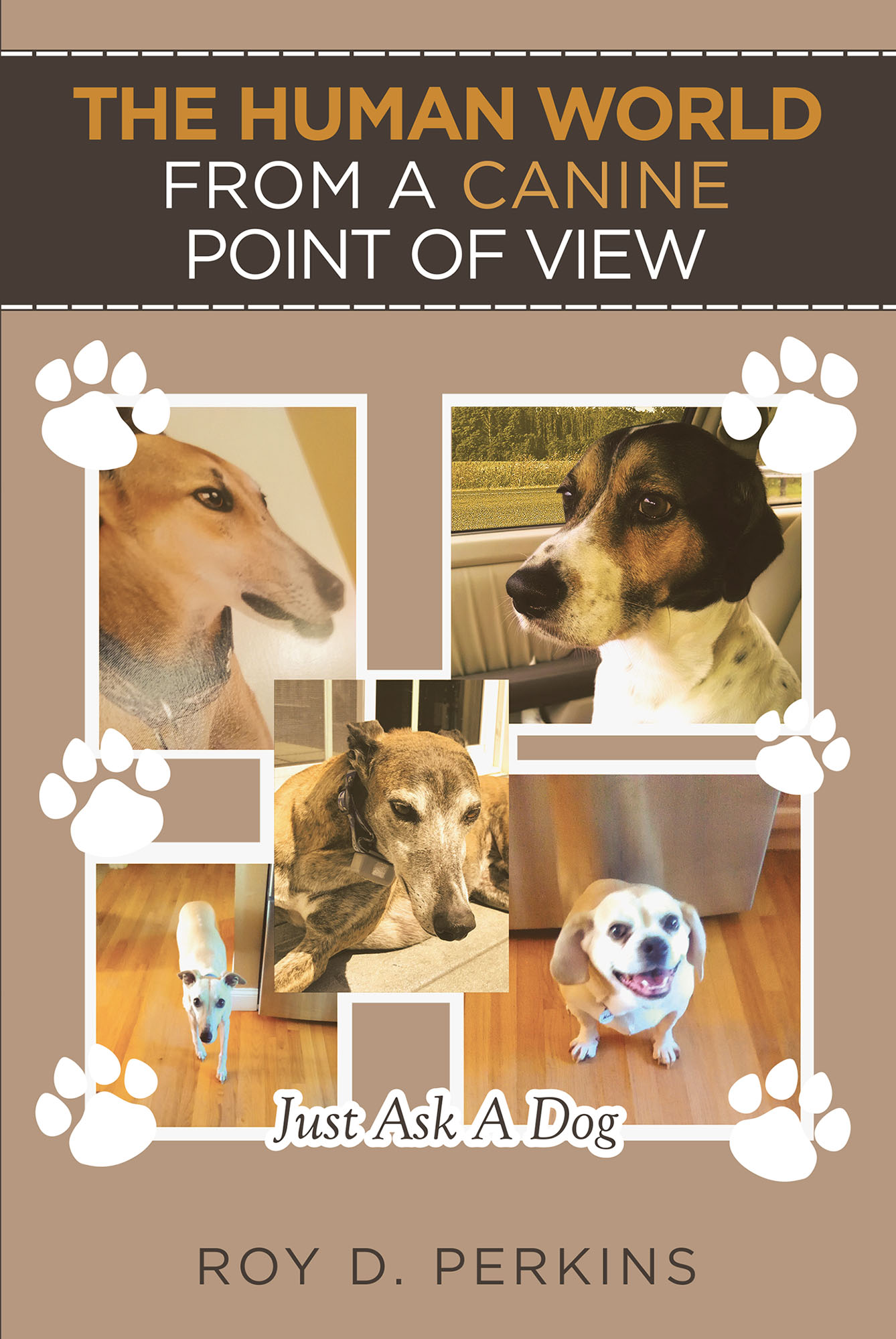 The Human World from a Canine Point of View Cover Image